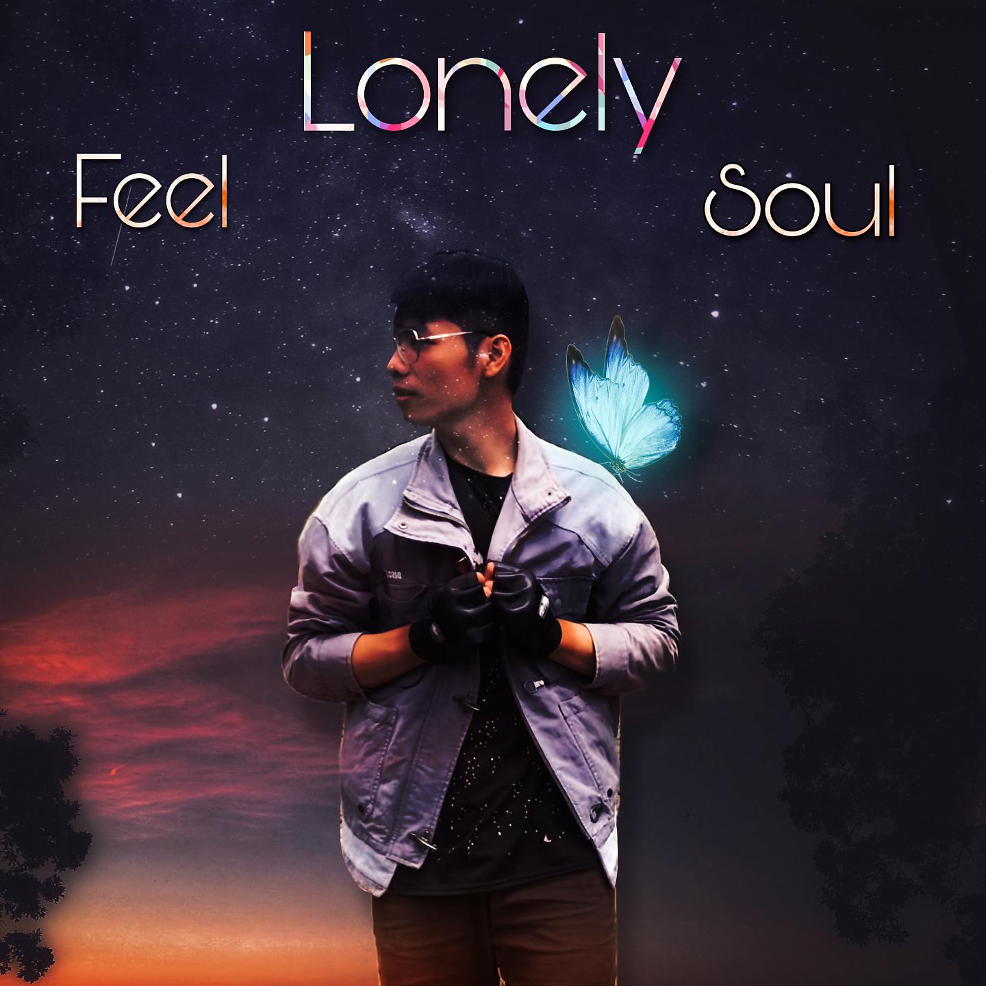 Постер альбома Feel Lonely Soul