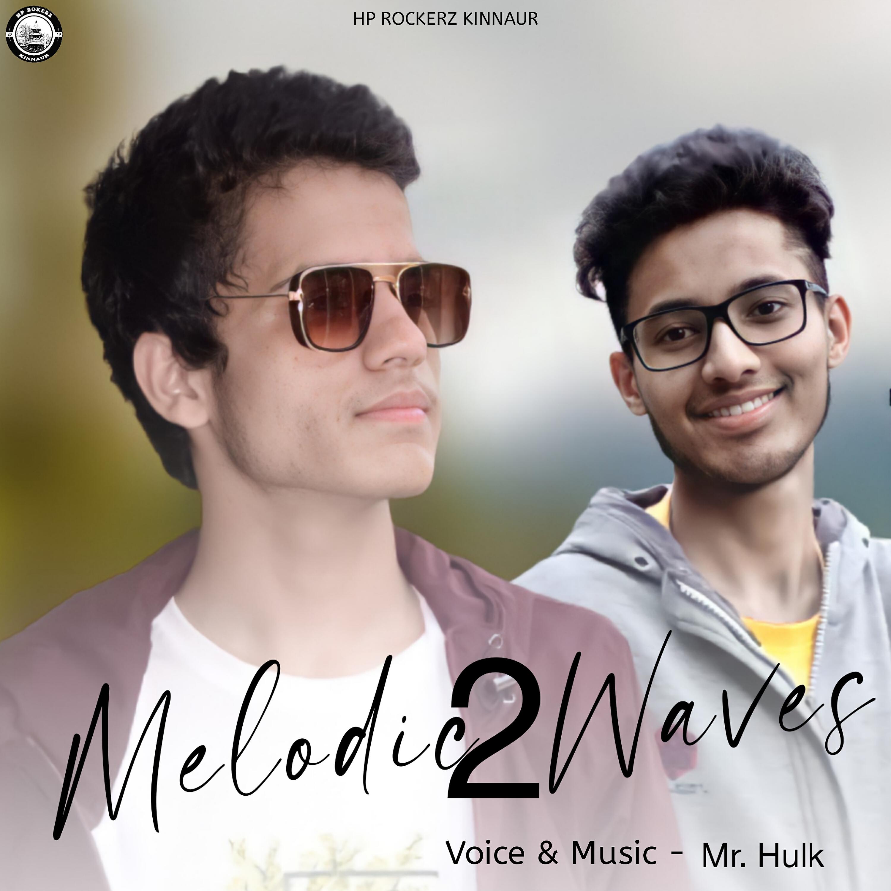 Mr Hulk - Melodic Waves 2 kinnauri Edm Song