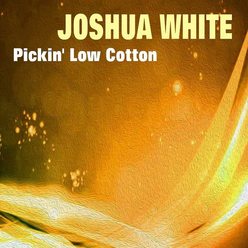 Постер альбома Pickin' Low Cotton
