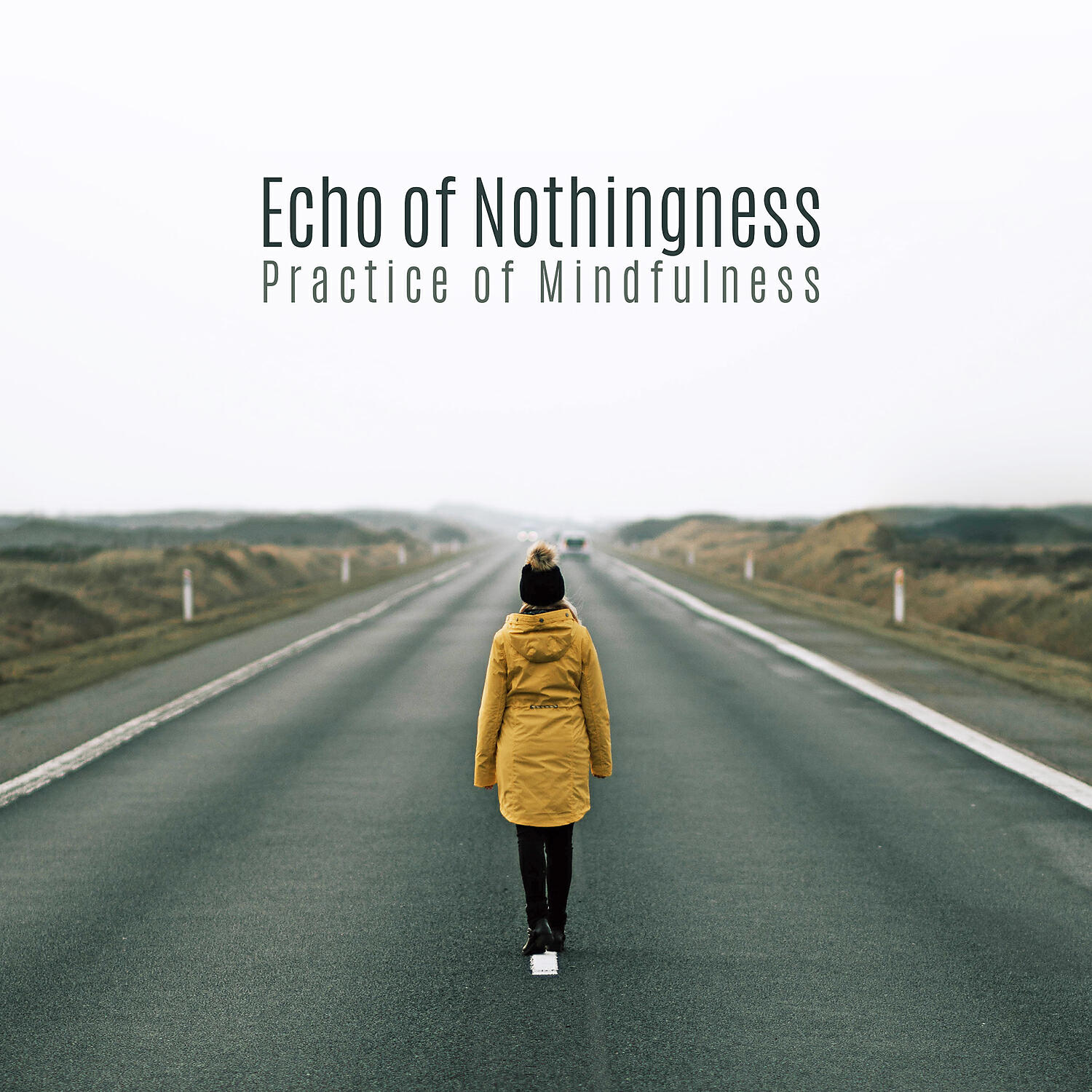 Thinking Music World - Echo of Nothingness