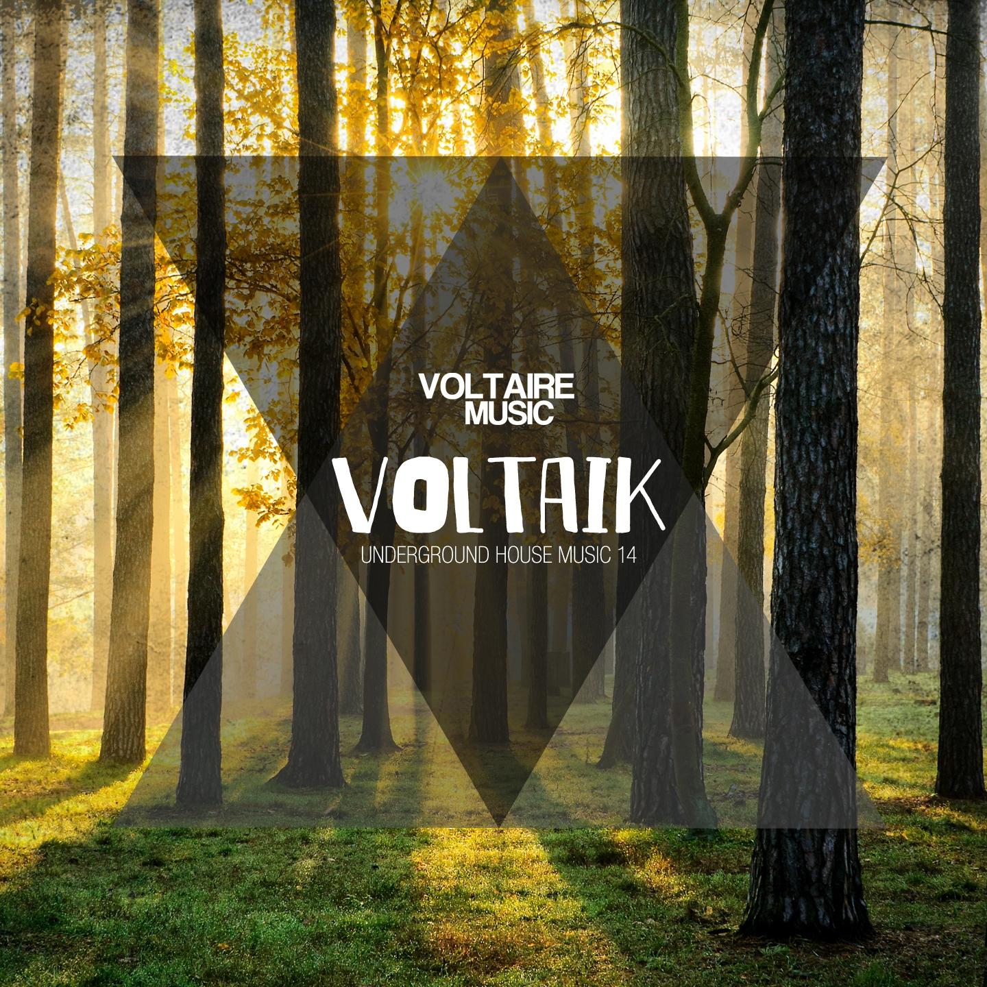 Постер альбома Voltaik, Vol. 14