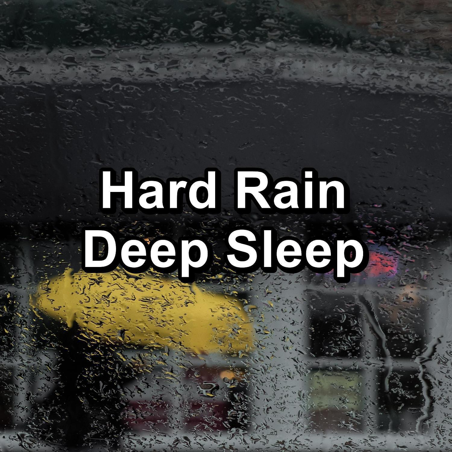 Постер альбома Hard Rain Deep Sleep