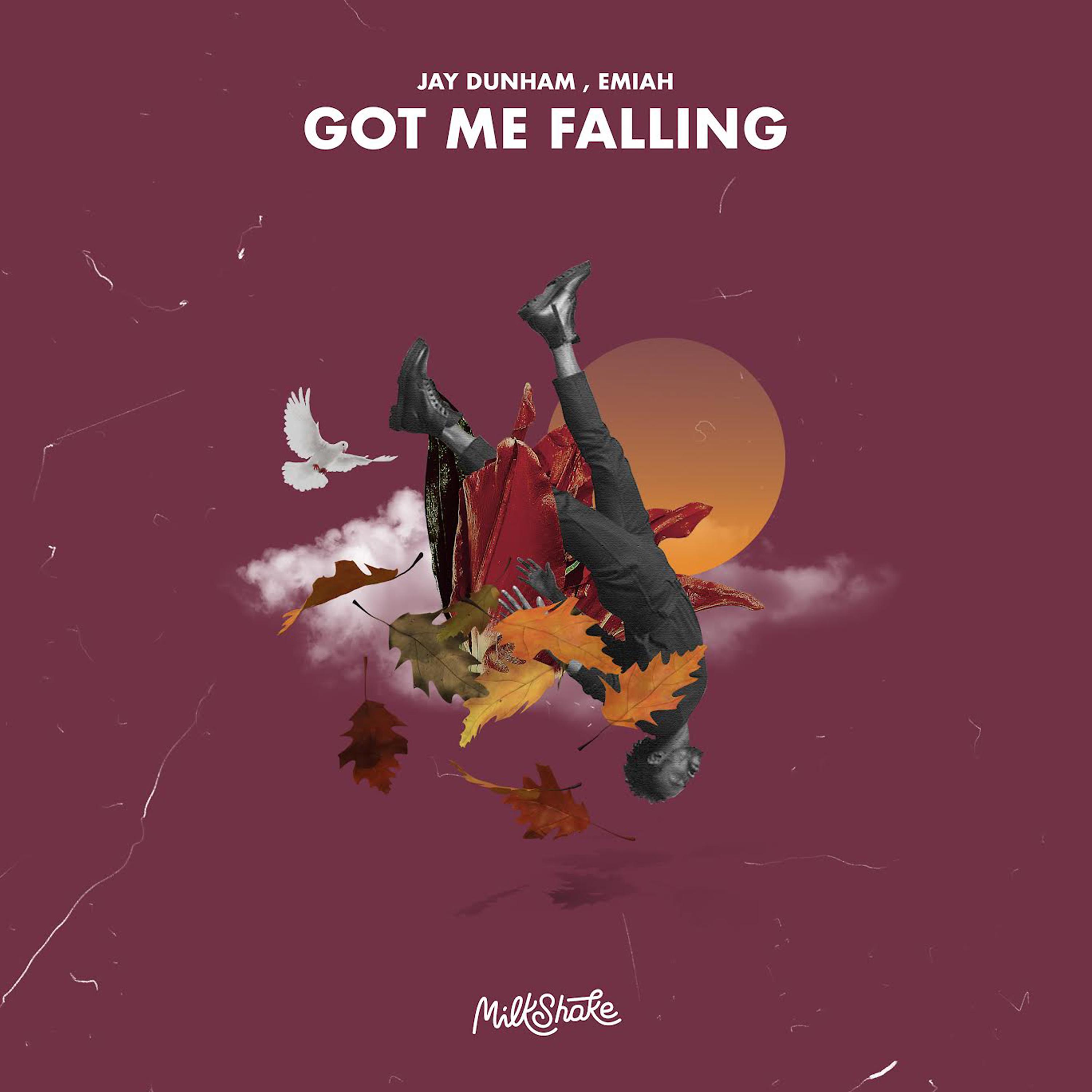 Постер альбома Got Me Falling