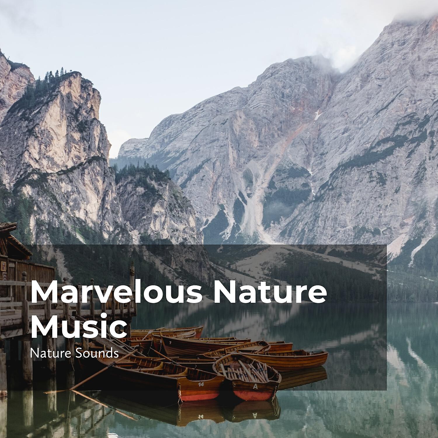 Nature Sounds - Lush Tropical Forest