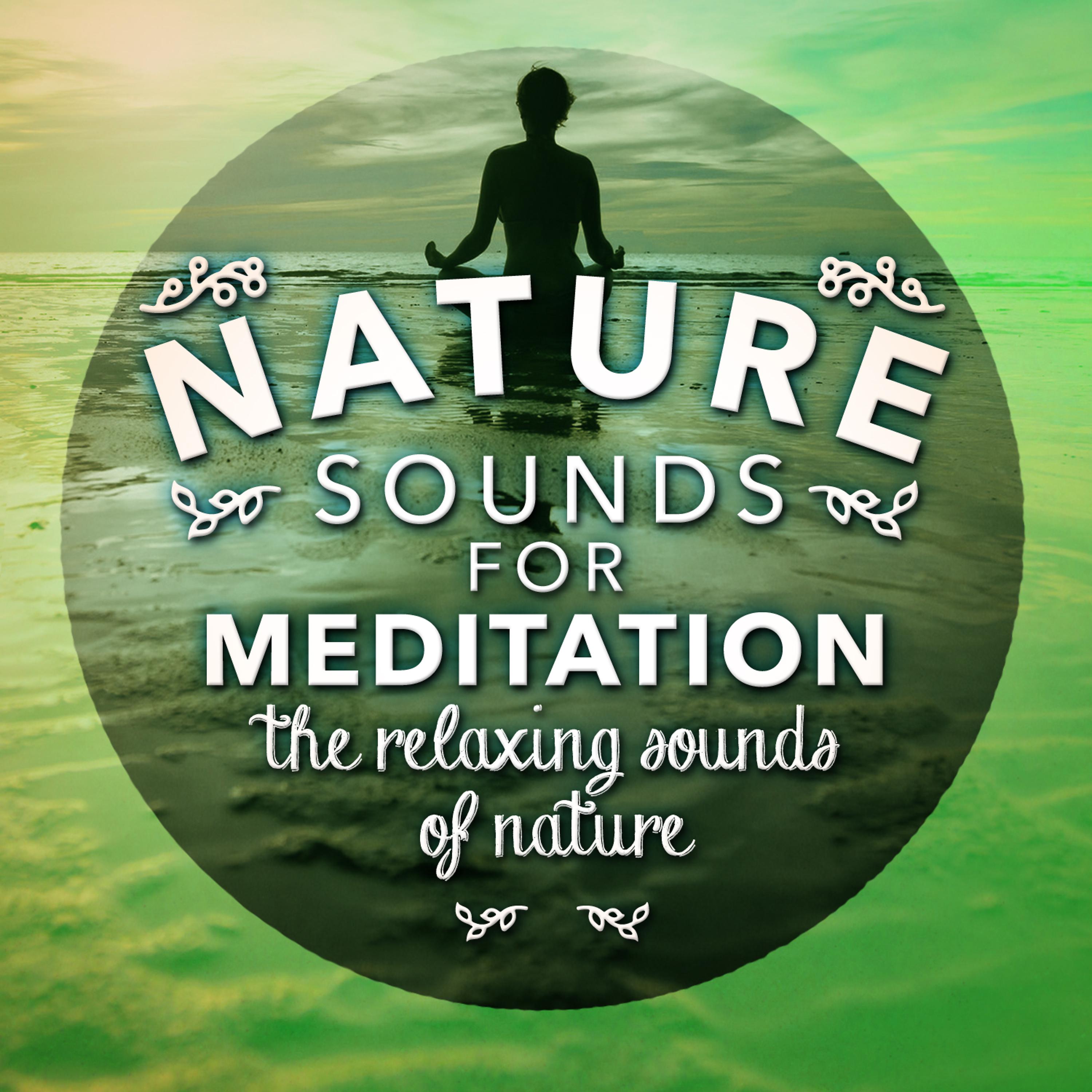 Постер альбома Nature Sounds for Meditation - The Relaxing Sounds of Nature