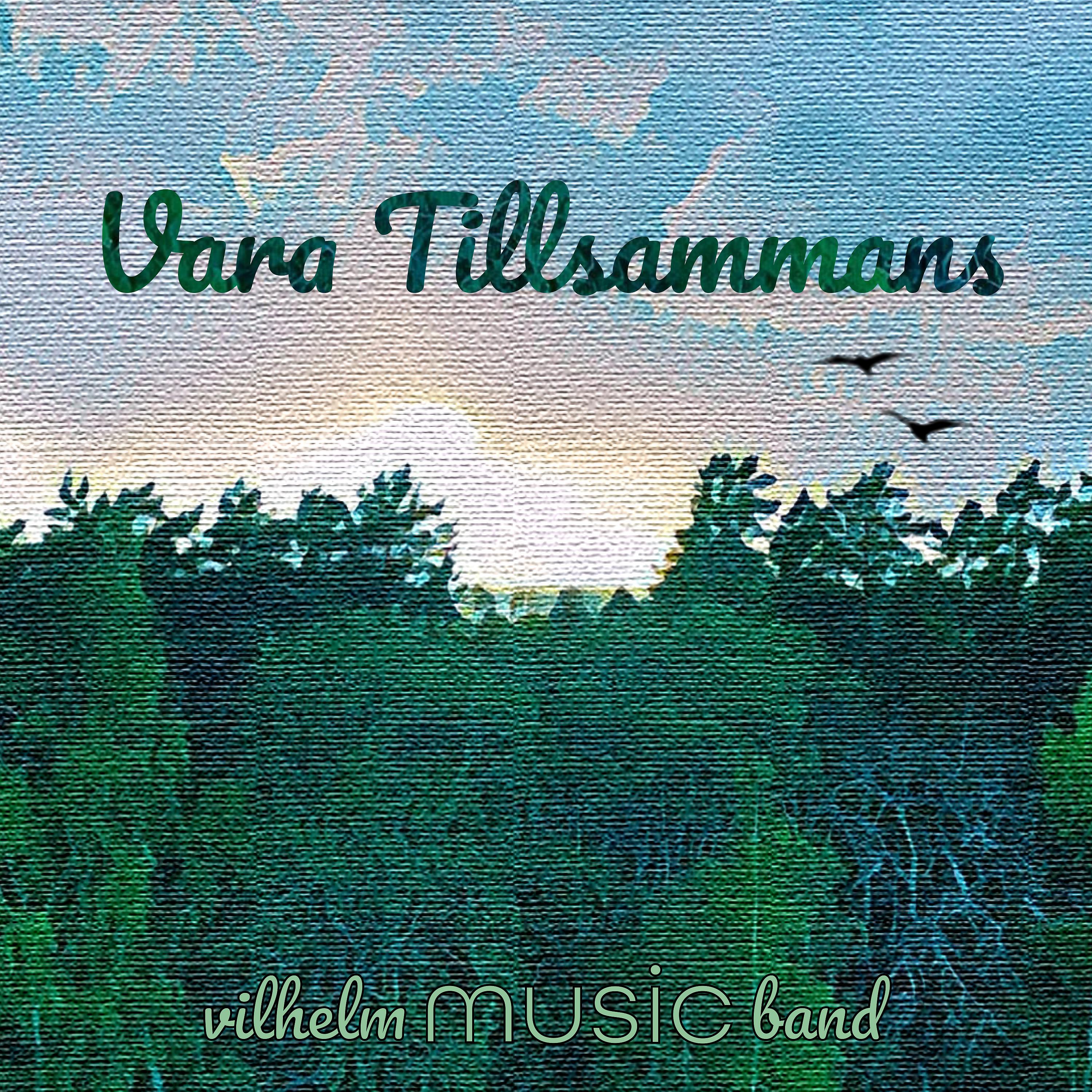 Постер альбома Vara Tillsammans