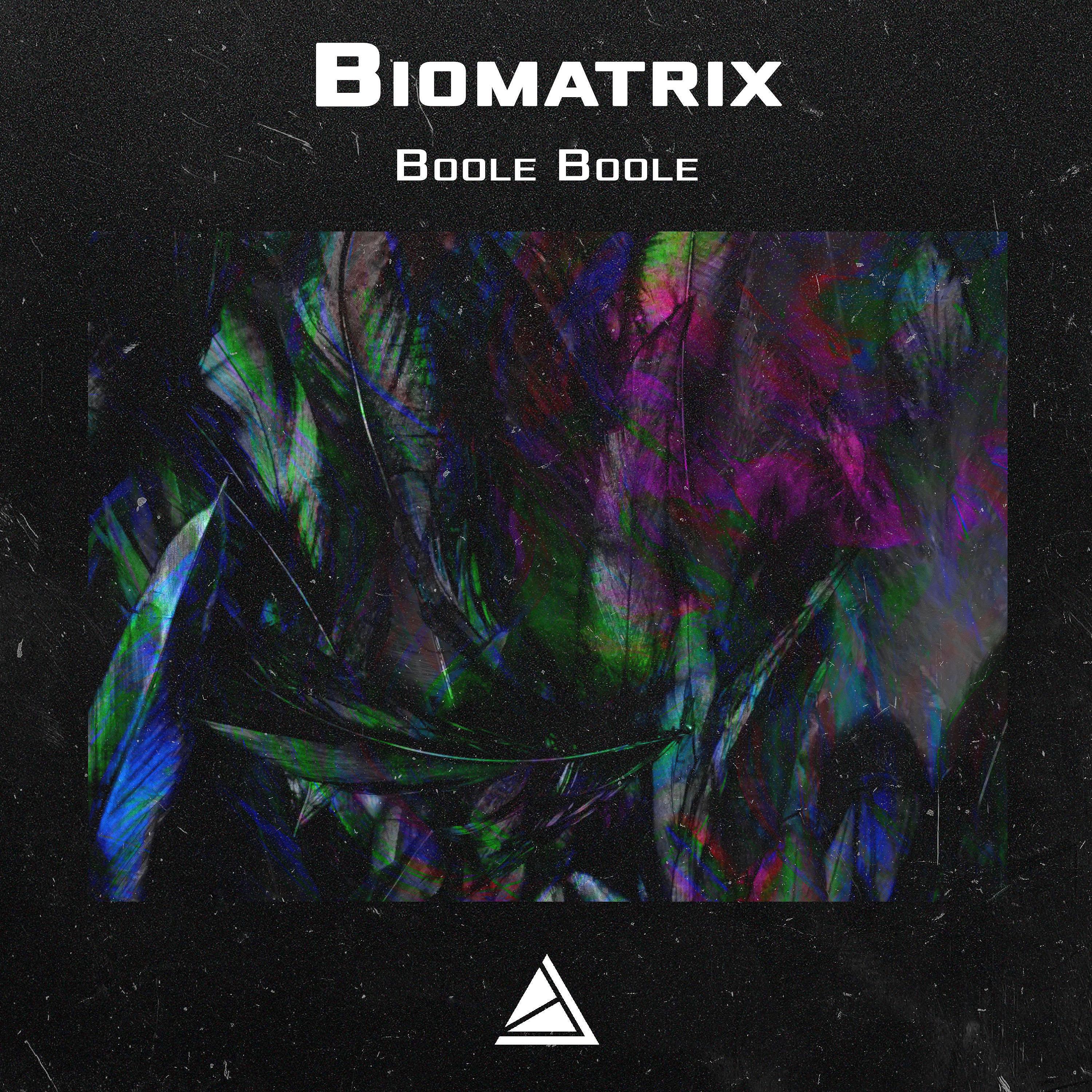 Biomatrix - Boole Boole