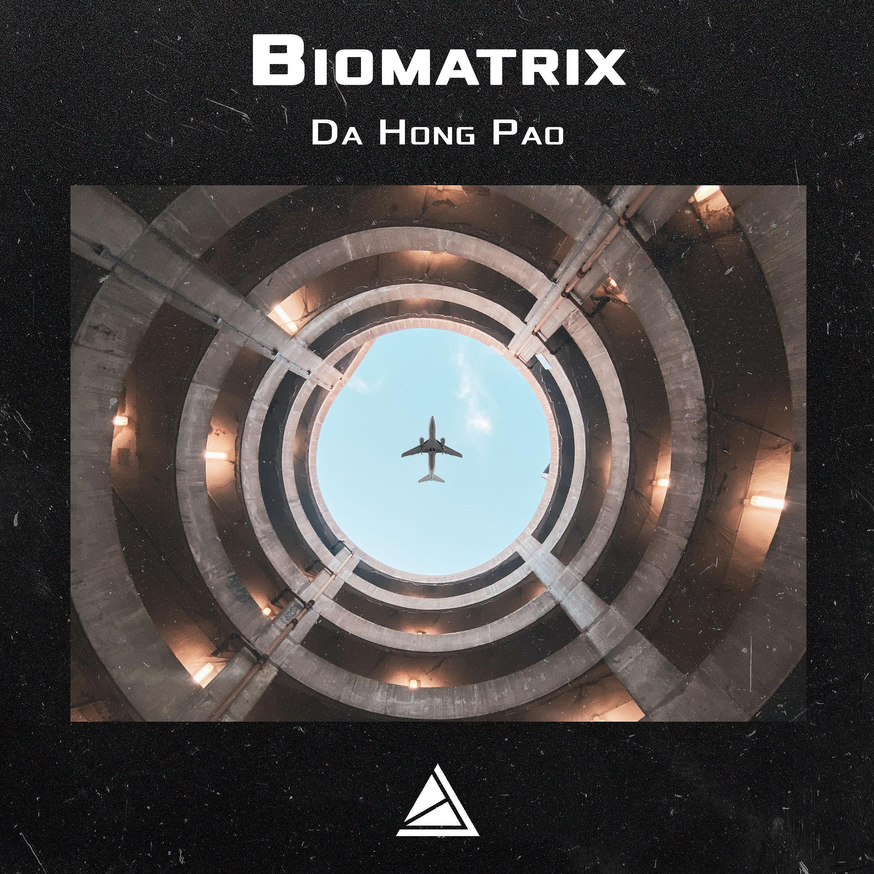 Biomatrix - Crystal Ninja