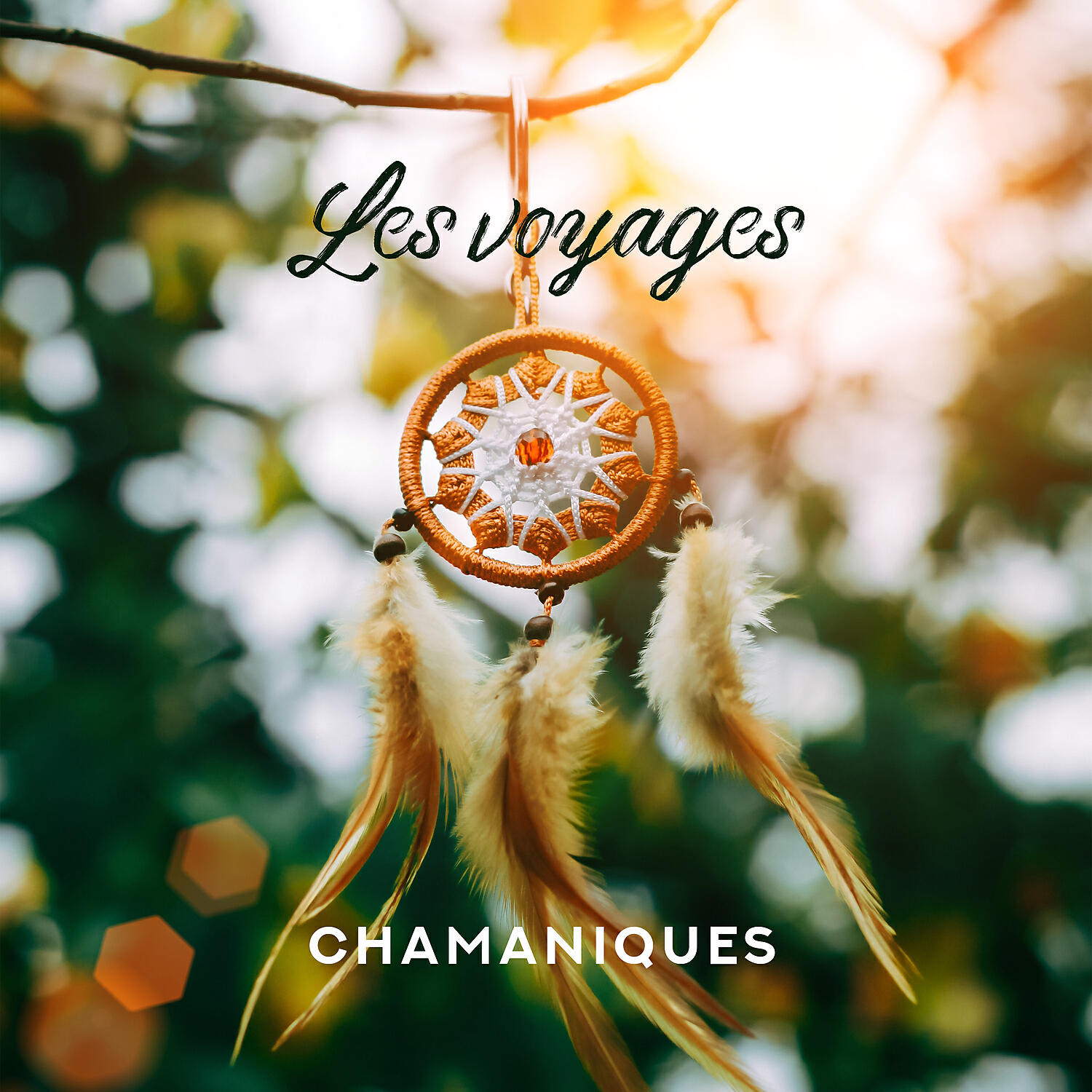 Zone de Méditation Spirituelle - Esprits libres