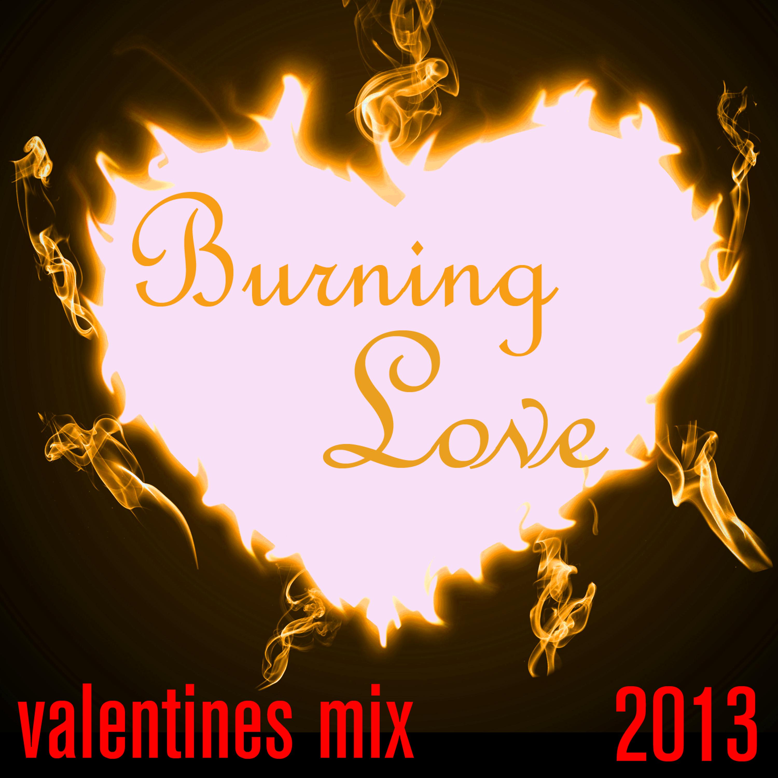 Постер альбома Burning Love: Valentines 2013 Mix