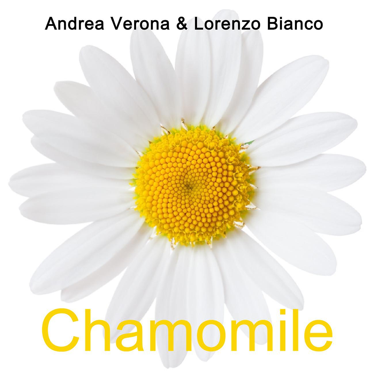 Постер альбома Chamomile