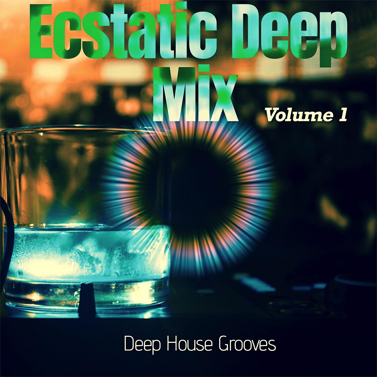 Chicago House Grooves - Plays in My Disco (Mix of the Future)