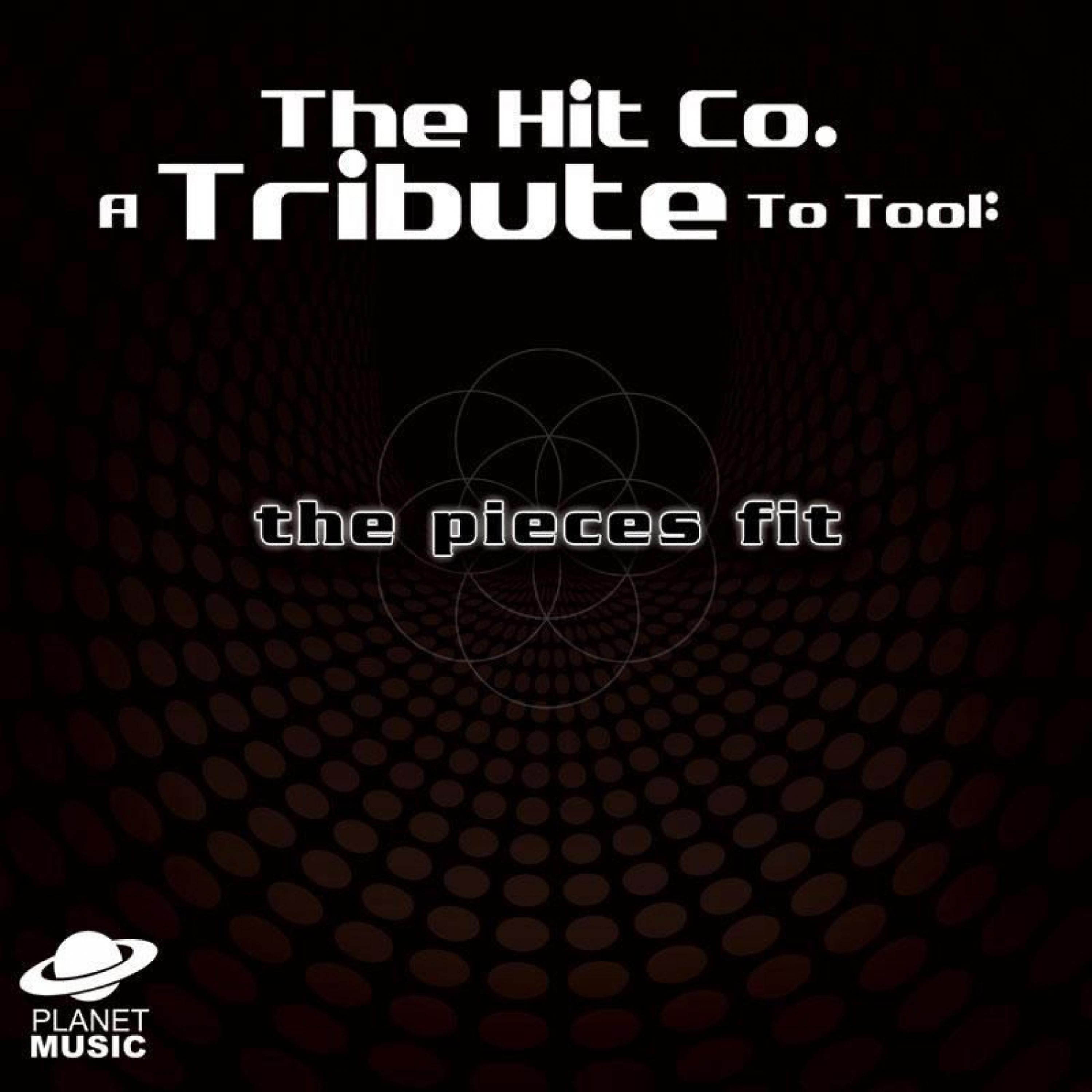 Постер альбома The Pieces Fit: A Tribute to Tool