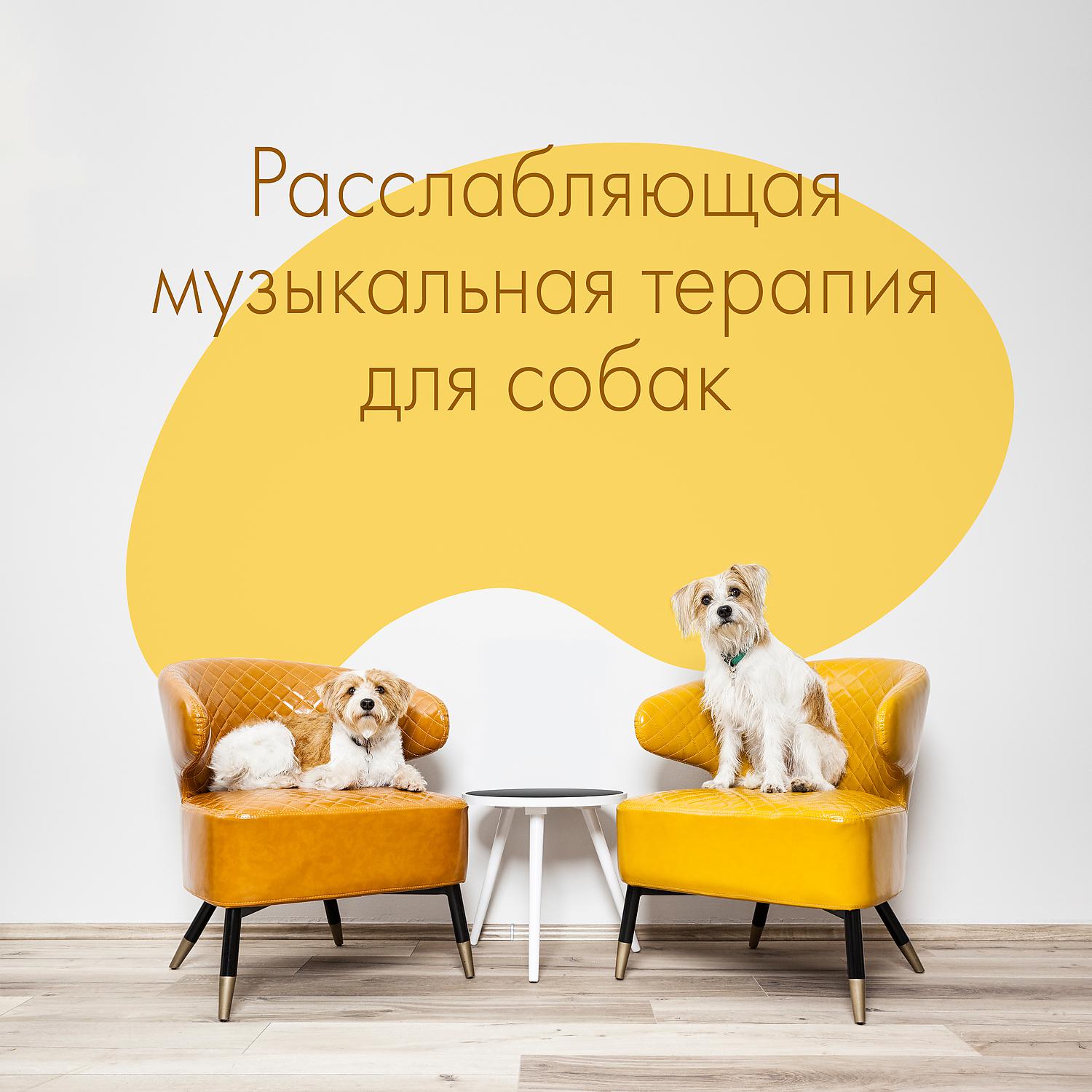 Постер альбома Расслабляющая музыкальная терапия для собак - мягкий инструмент для успокоения