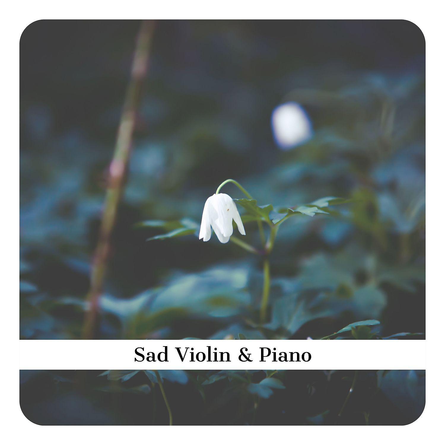 Постер альбома Sad Violin & Piano