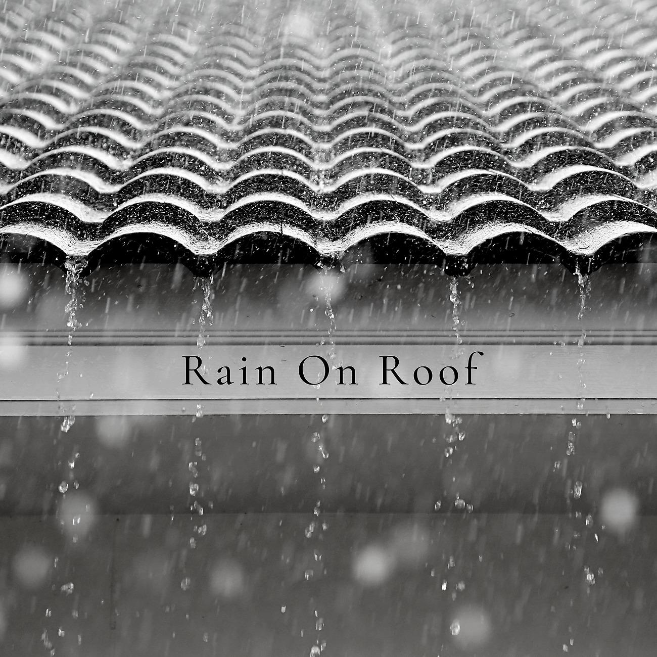 Постер альбома Rain on Roof