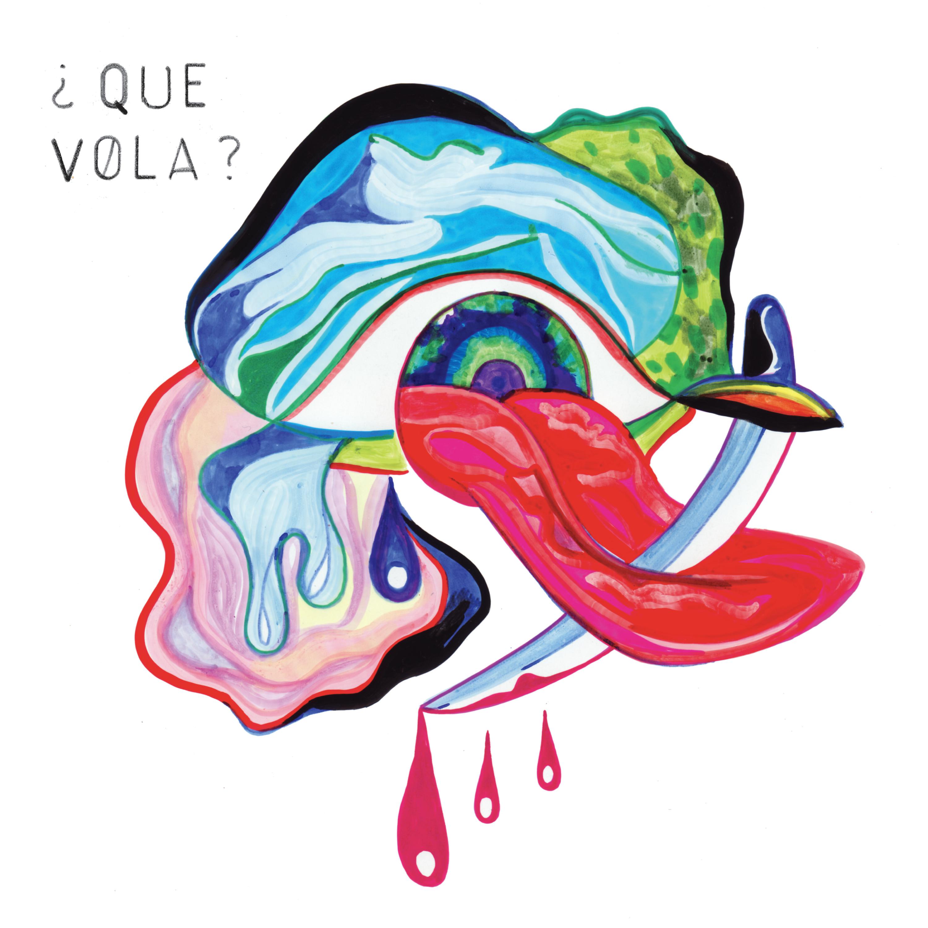 Постер альбома Que Vola ?