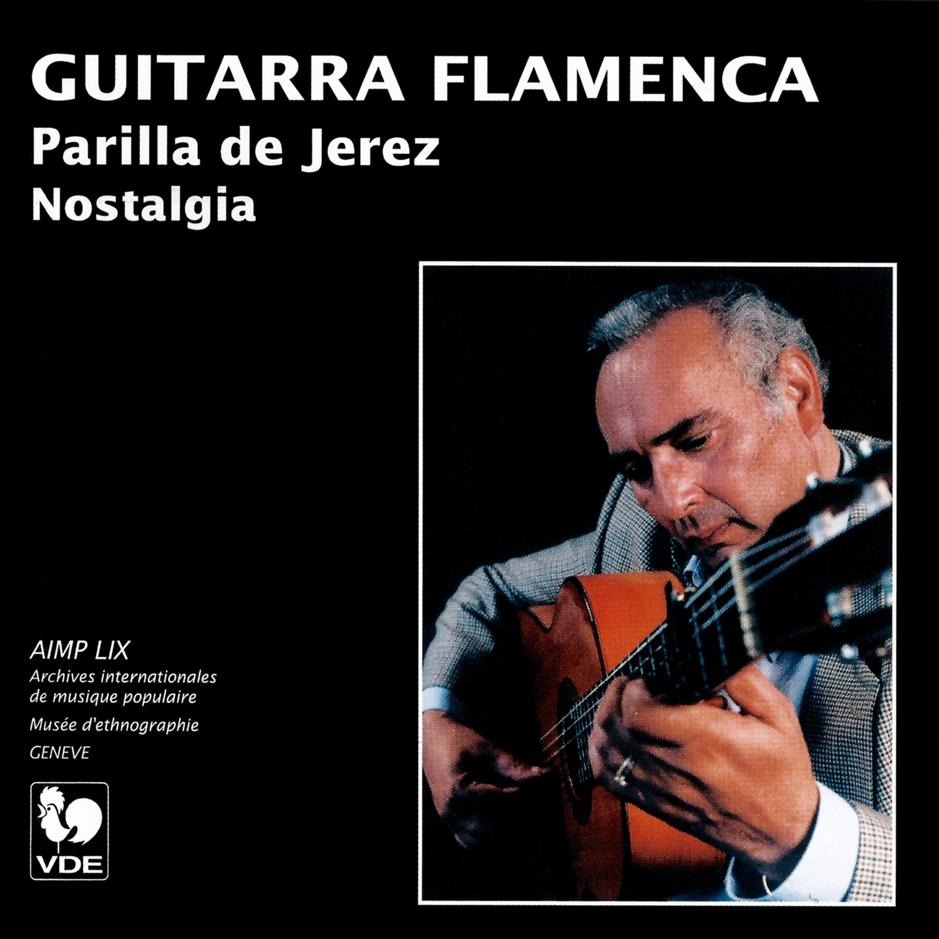 Постер альбома Guitarra Flamenca (Guitar Flamenco): Nostalgia