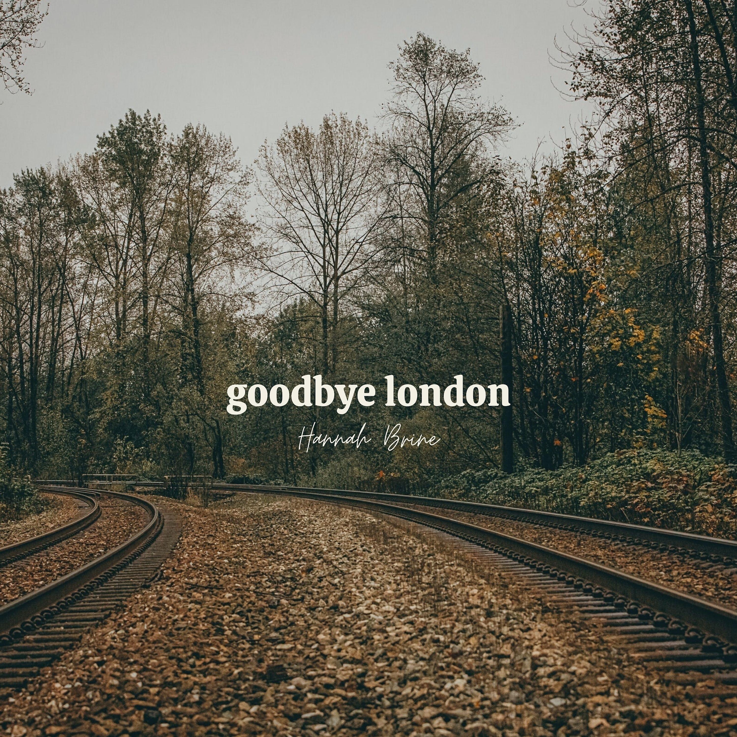 Постер альбома Goodbye London