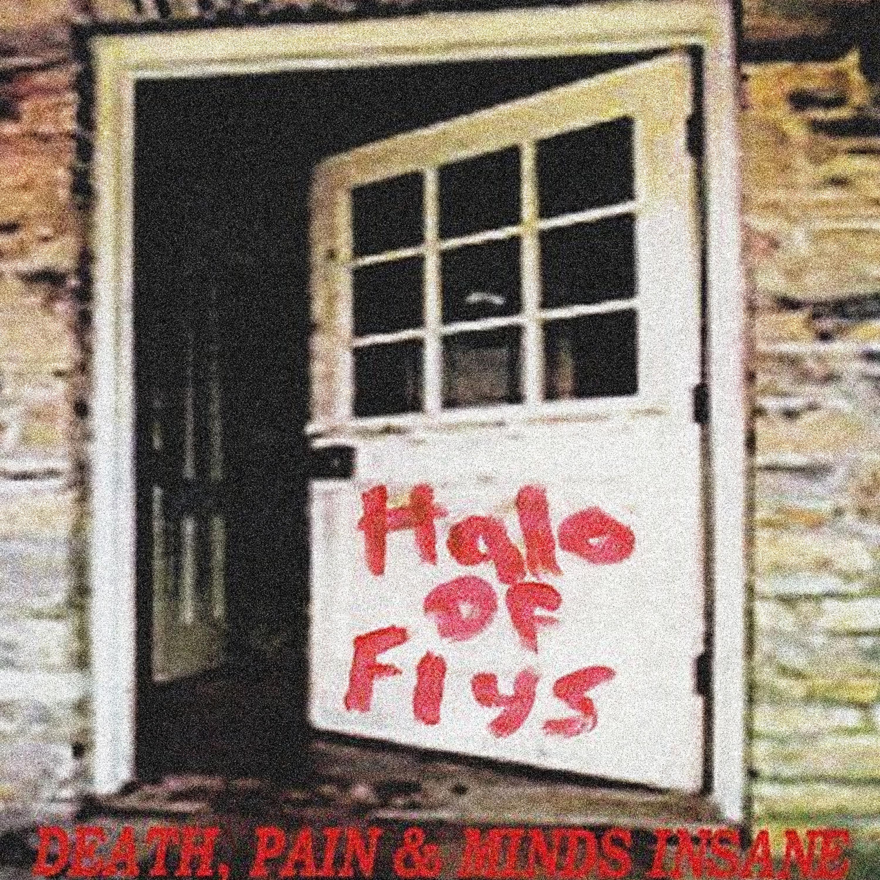 Постер альбома Death, Pain and Minds Insane