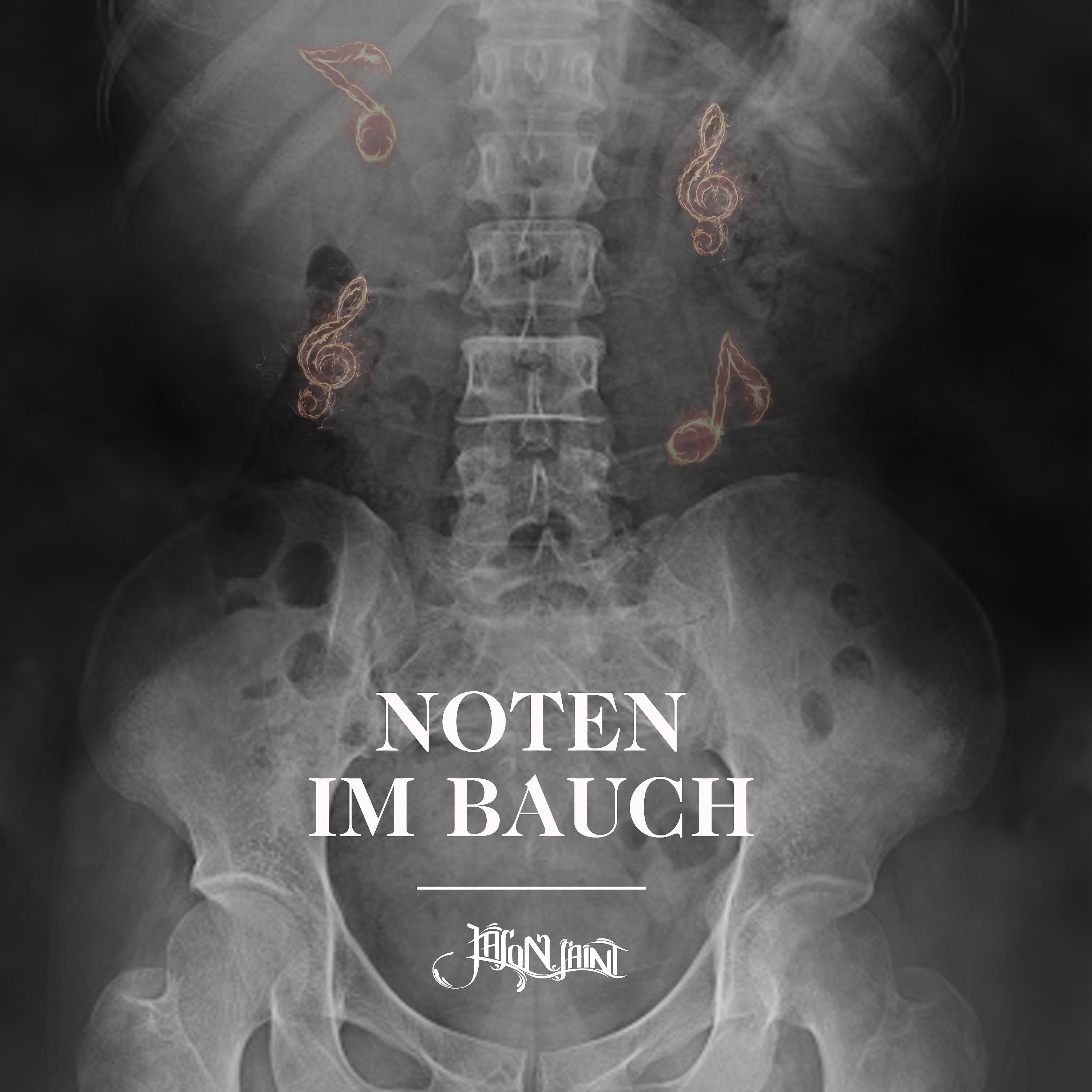 Постер альбома Noten im Bauch