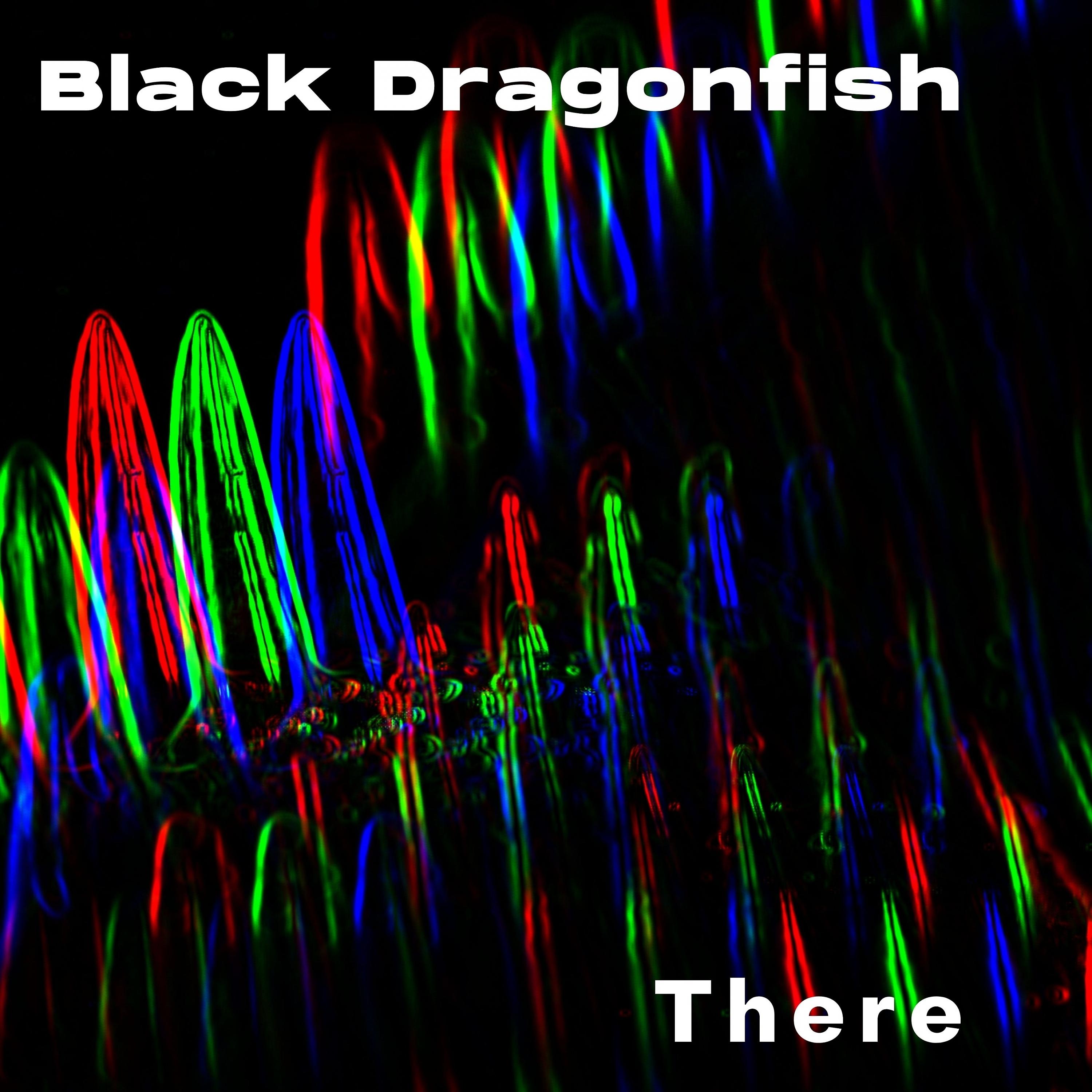 Постер альбома Black Dragonfish