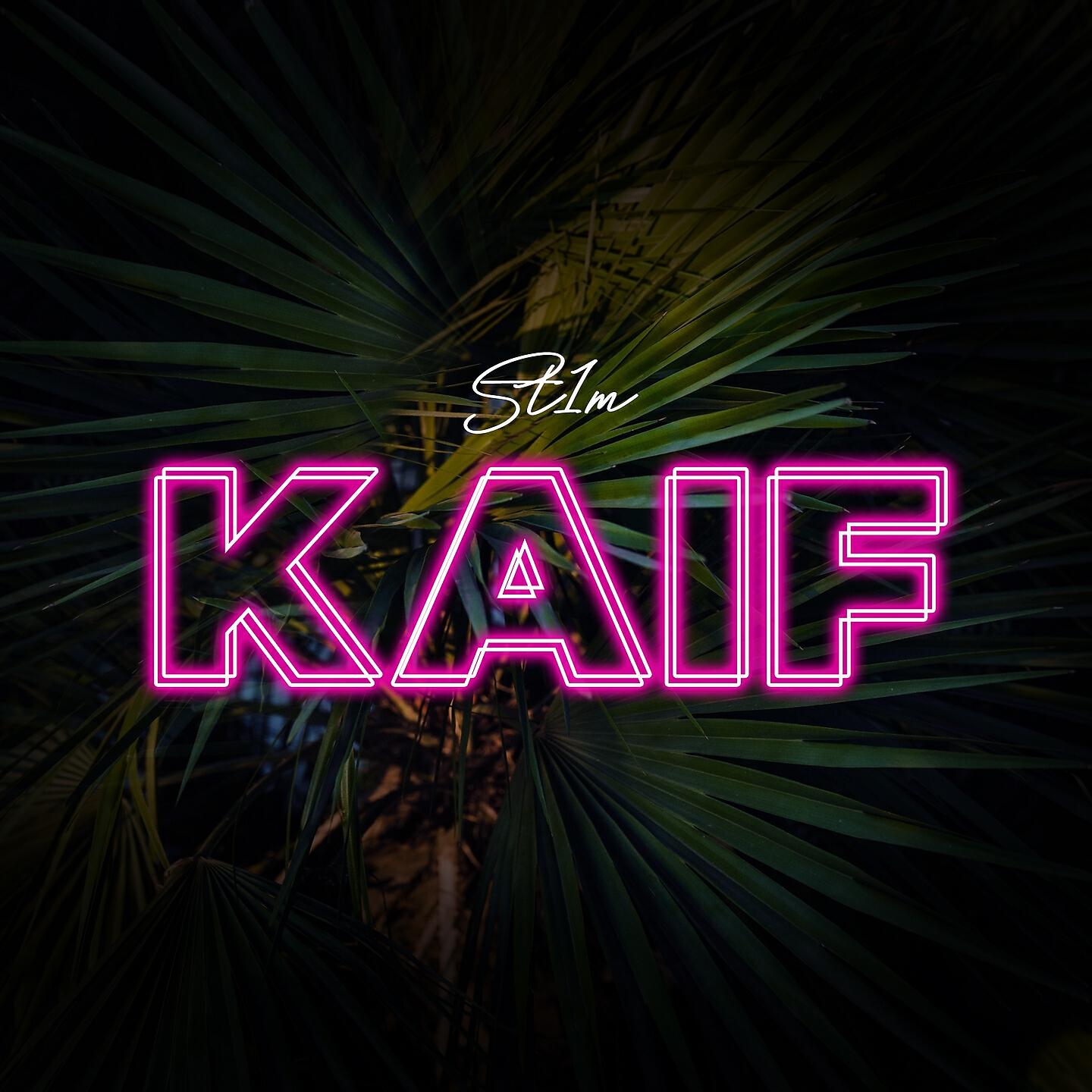 ST1M - Kaif (Young Grizzly Remix)