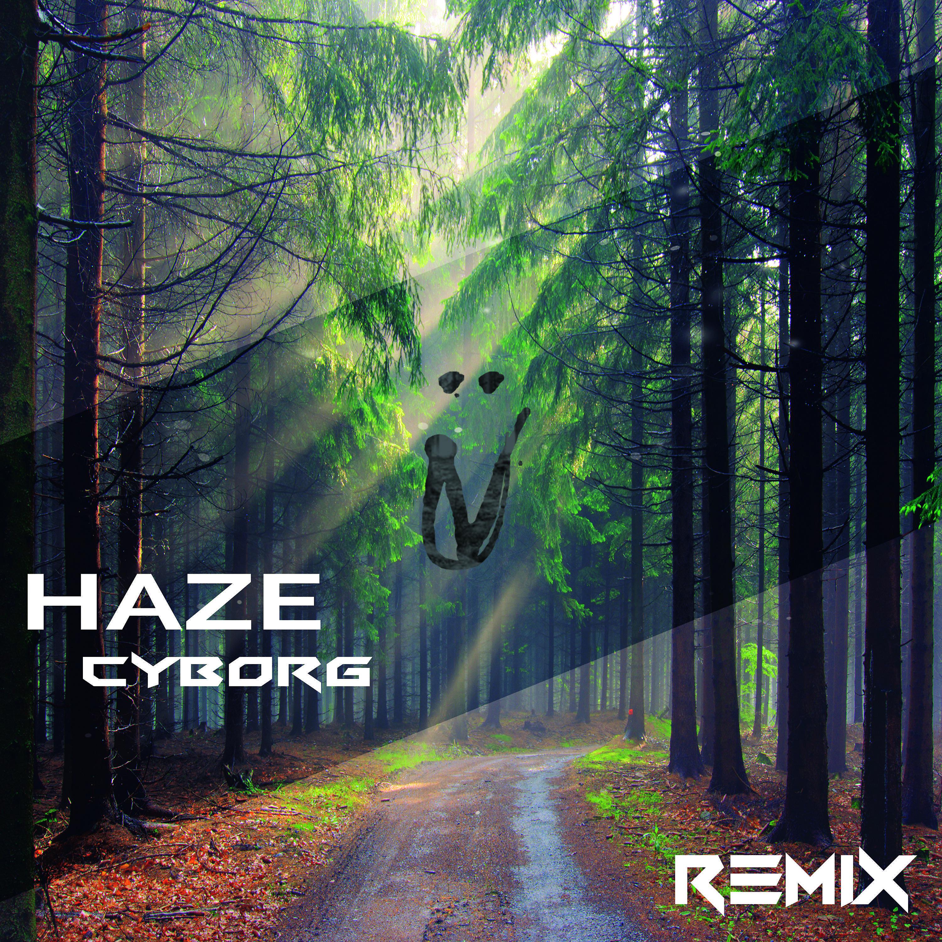 Постер альбома Haze (Remix)
