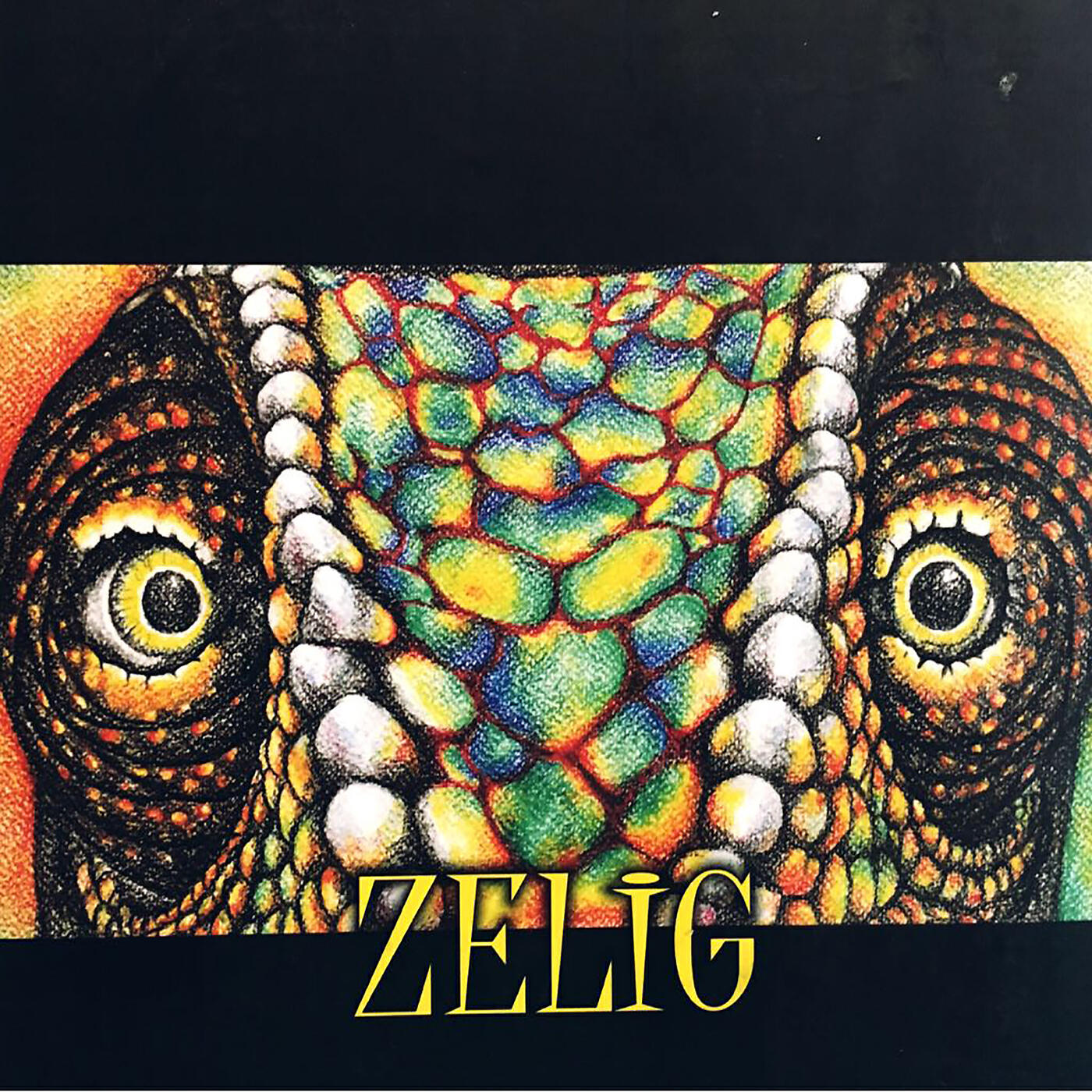 Flávio Henrique - Zelig