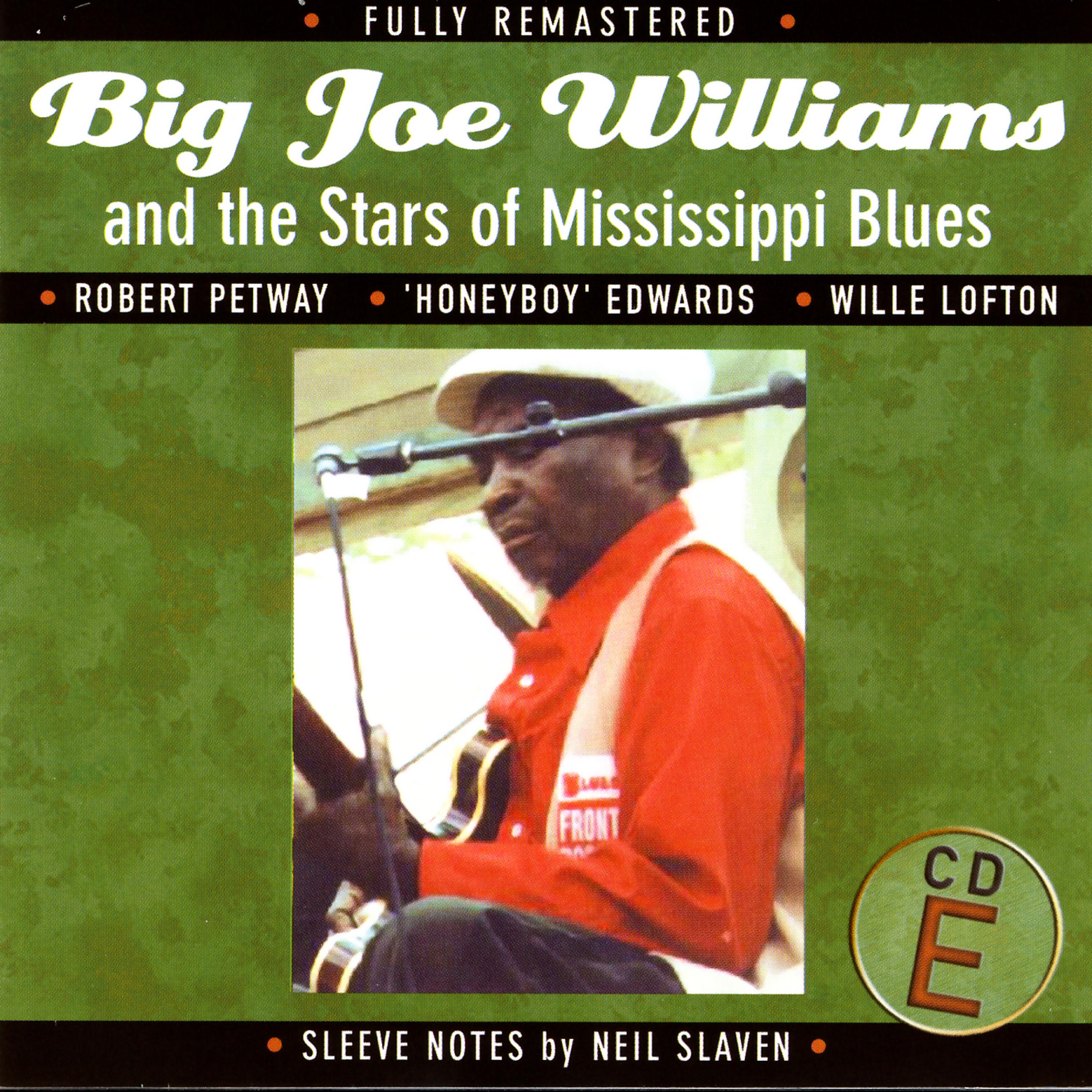 Постер альбома Big Joe Williams and the Stars of Mississippi Blues (E)