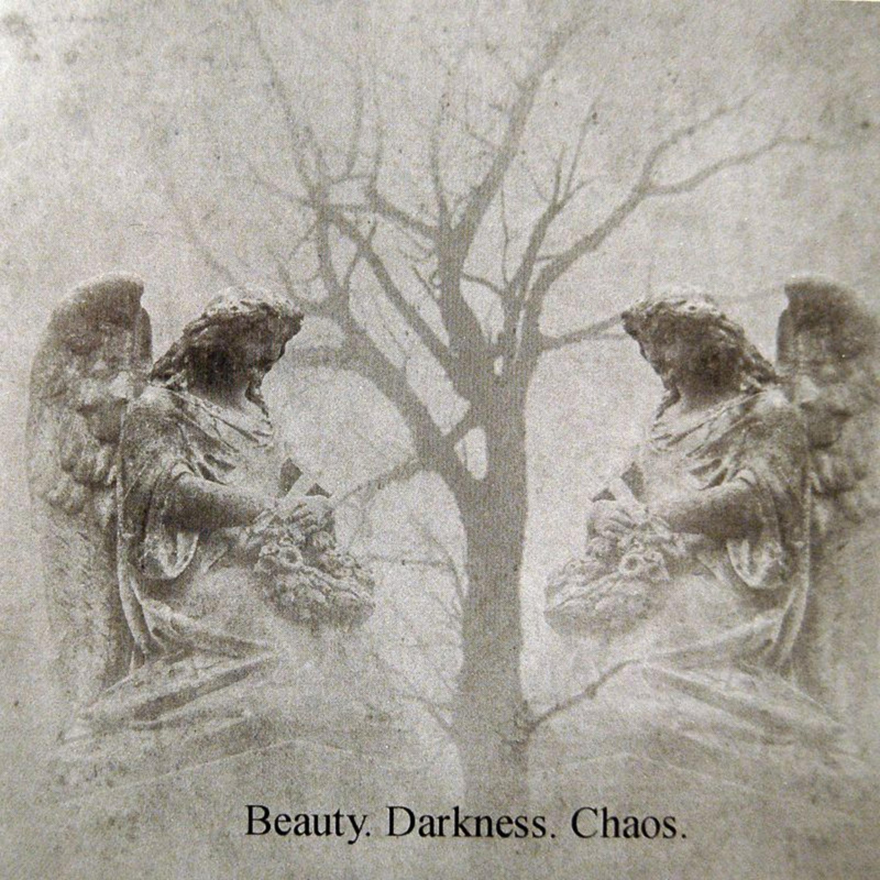 Постер альбома Beauty.Darkness.Chaos.