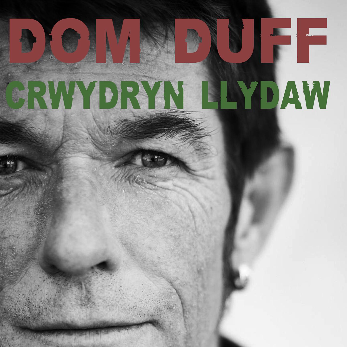 Постер альбома Crwydryn Llydaw
