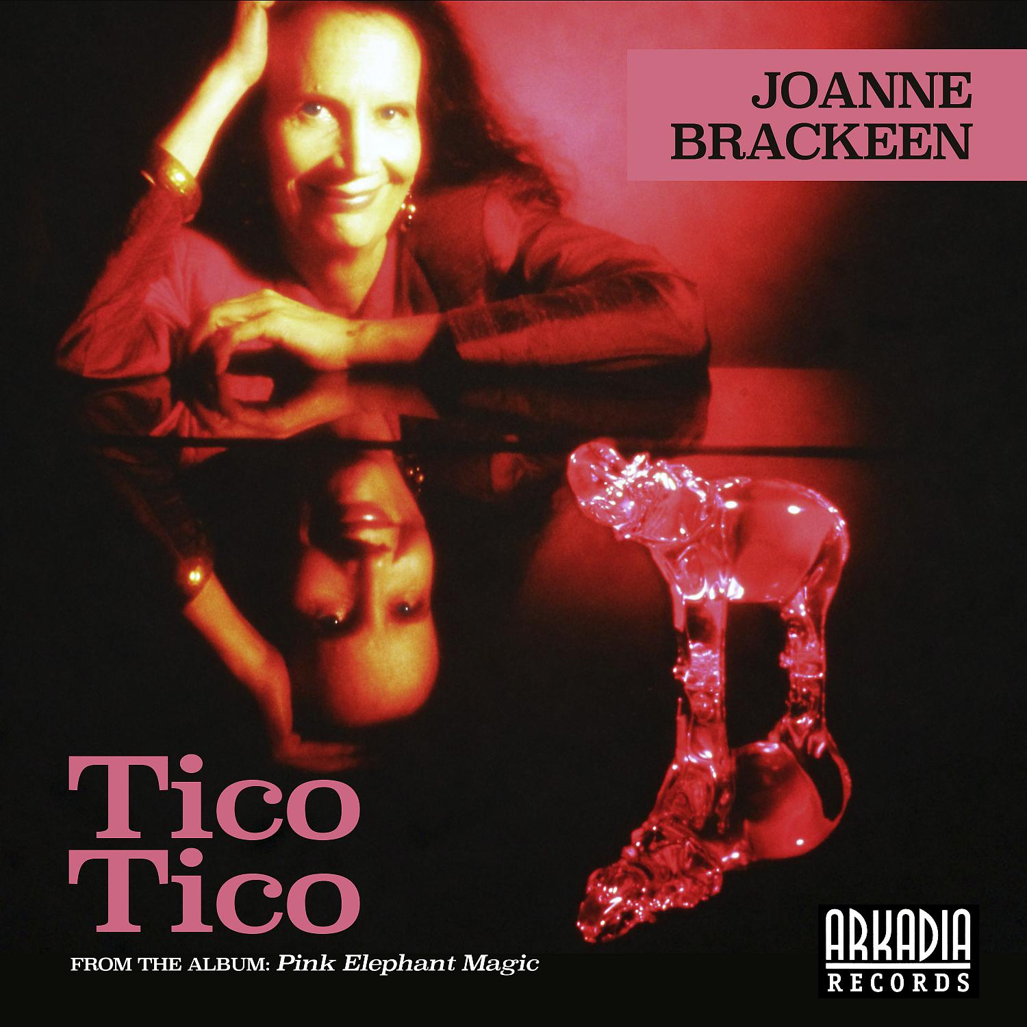 Постер альбома Tico Tico (feat. John Patitucci & Horacio El Negro Hernandez)
