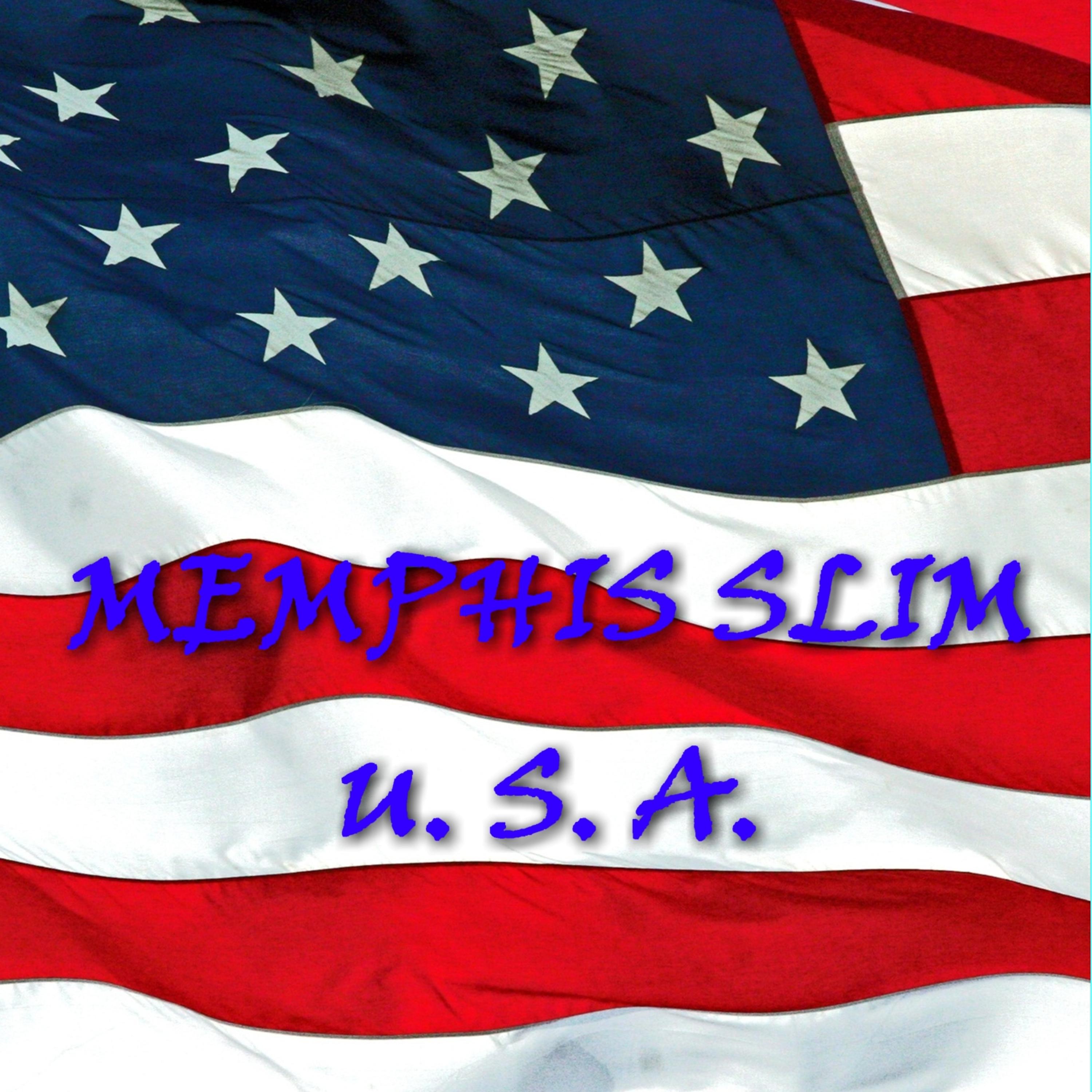Постер альбома Memphis Slim USA