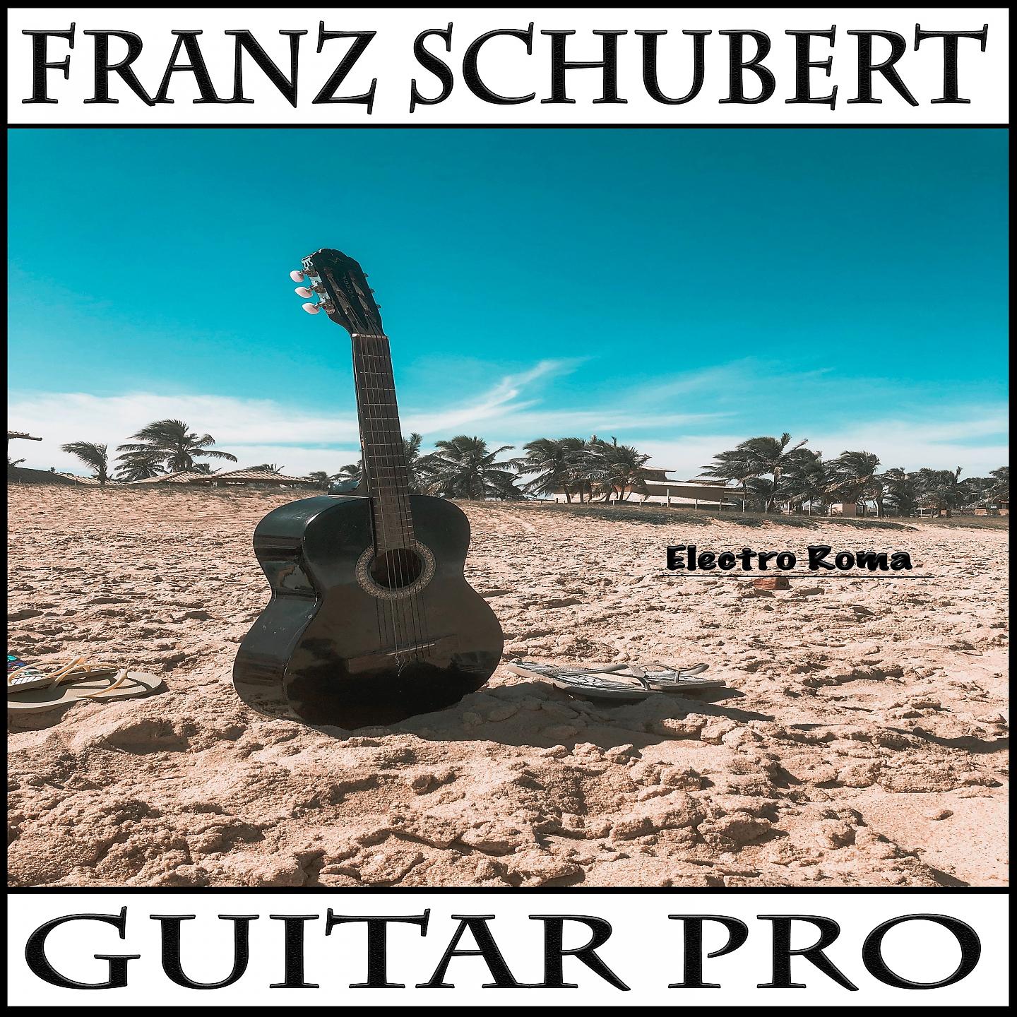 Постер альбома Guitar Pro