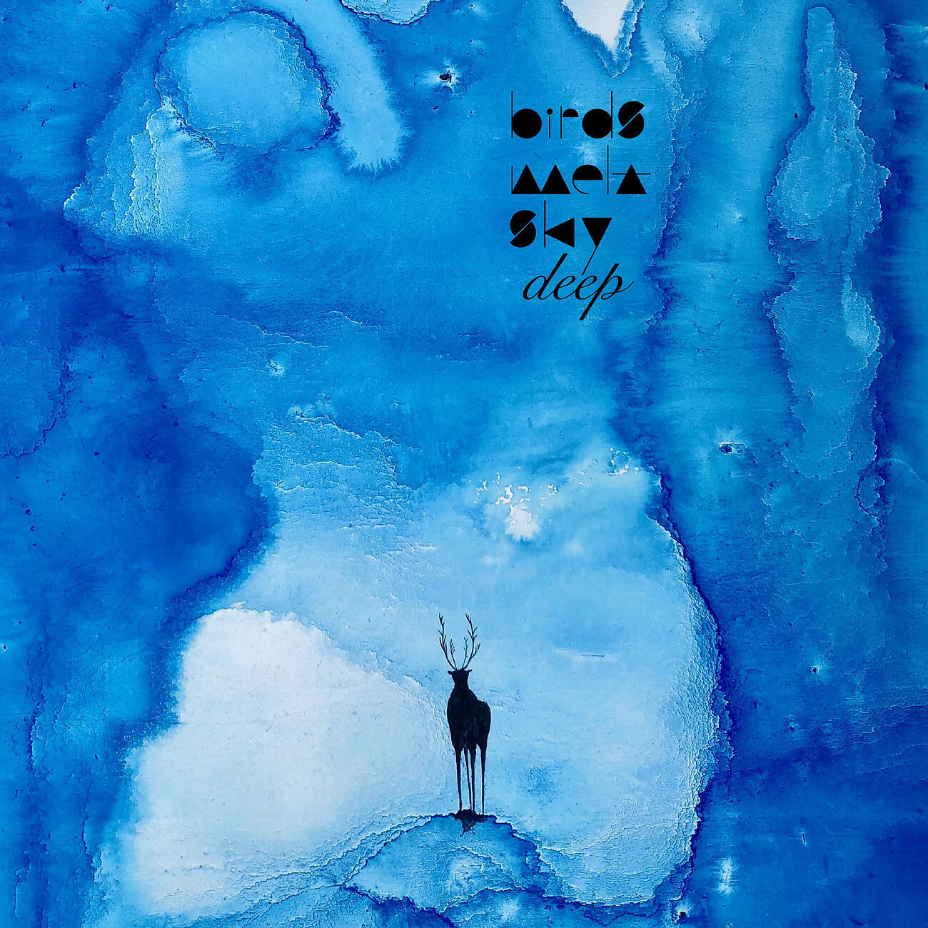 Birds Melt Sky - sleepwalk