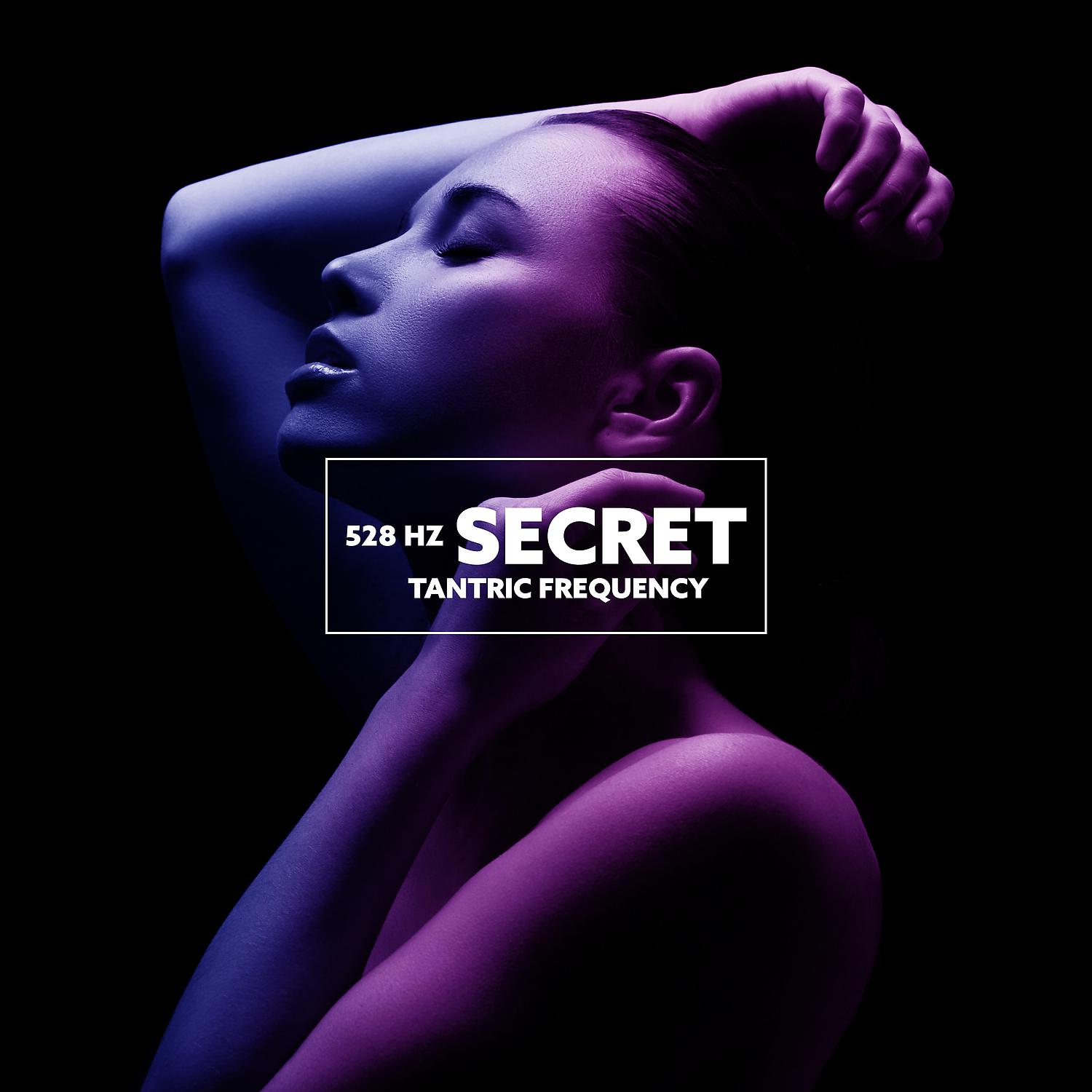 Постер альбома 528 Hz Secret Tantric Frequency: Sacral Chakra Healing & Sex Meditation Music