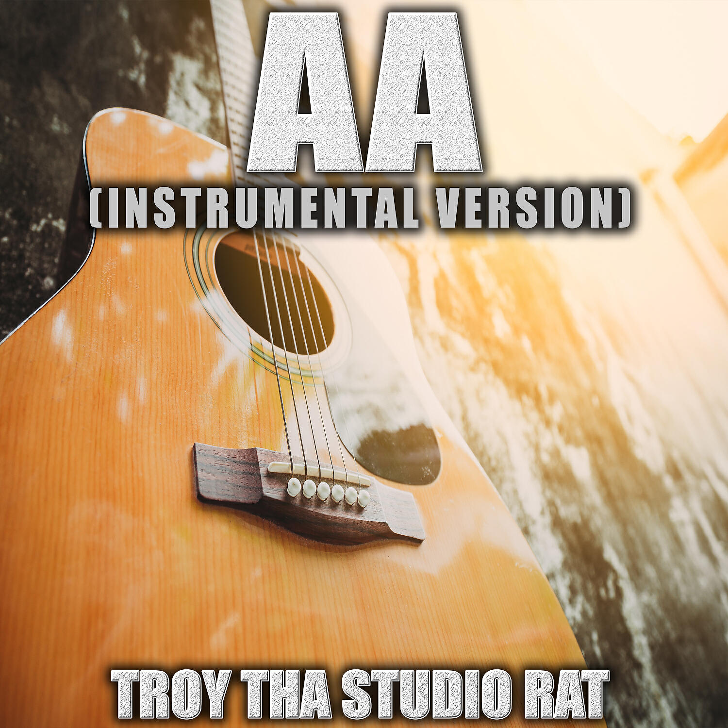 Troy Tha Studio Rat - AA (Originally Performed by Walker Hayes) (Instrumental Version)