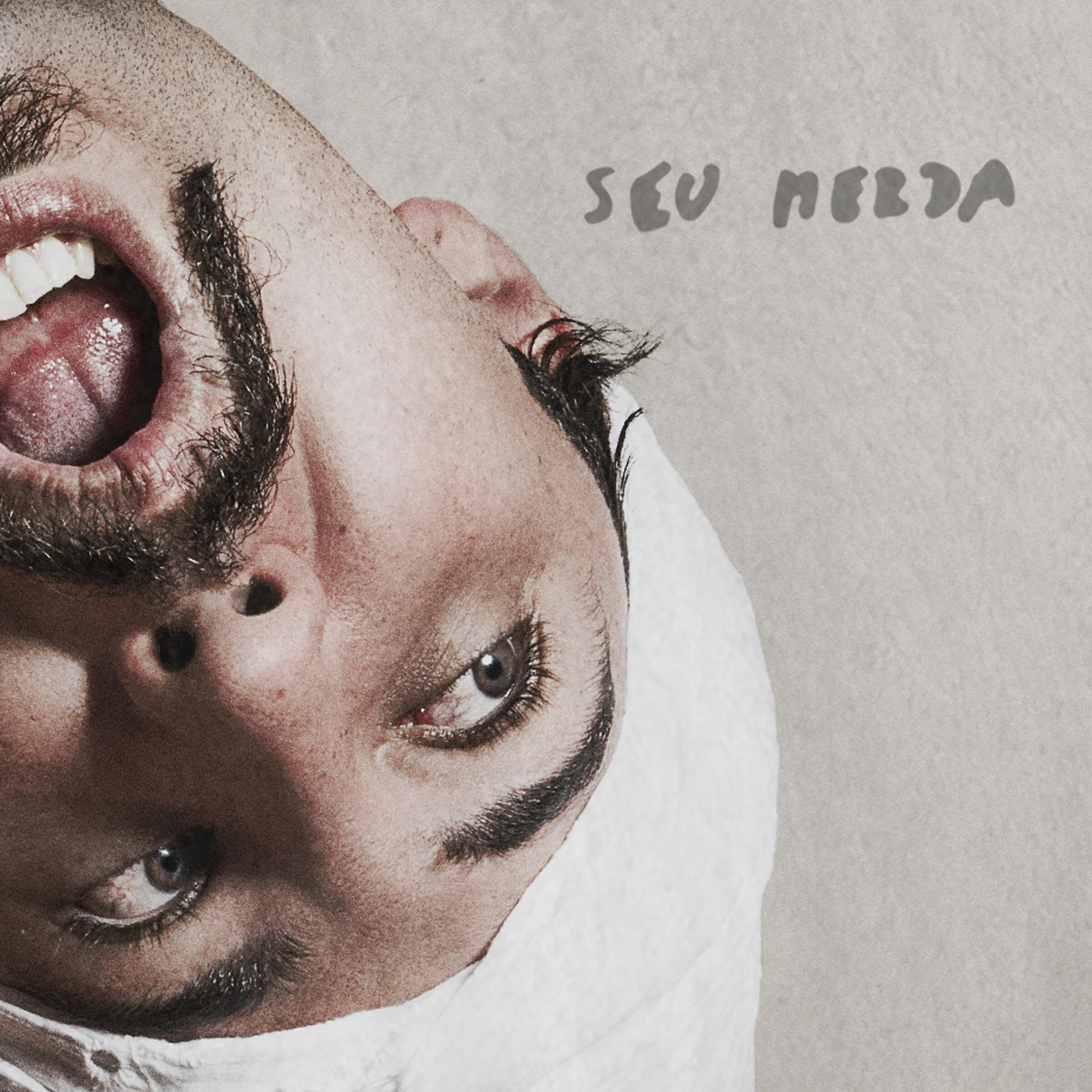 Raul Misturada - Seu Merda
