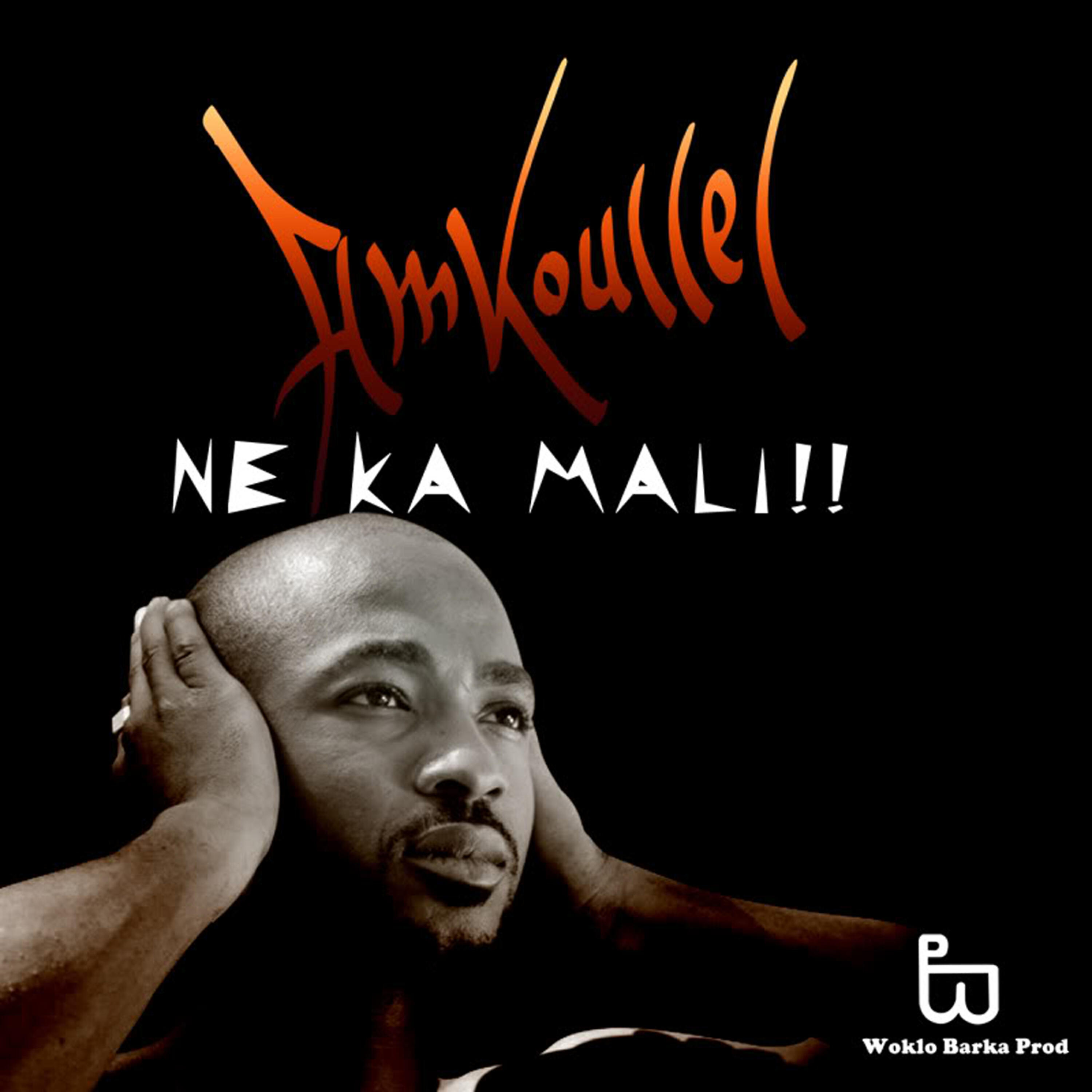 Amkoullel - A.P.E. (feat. Tata Pound, Fanga Fing, King, Master Soumy, Amenofis & Pamela)