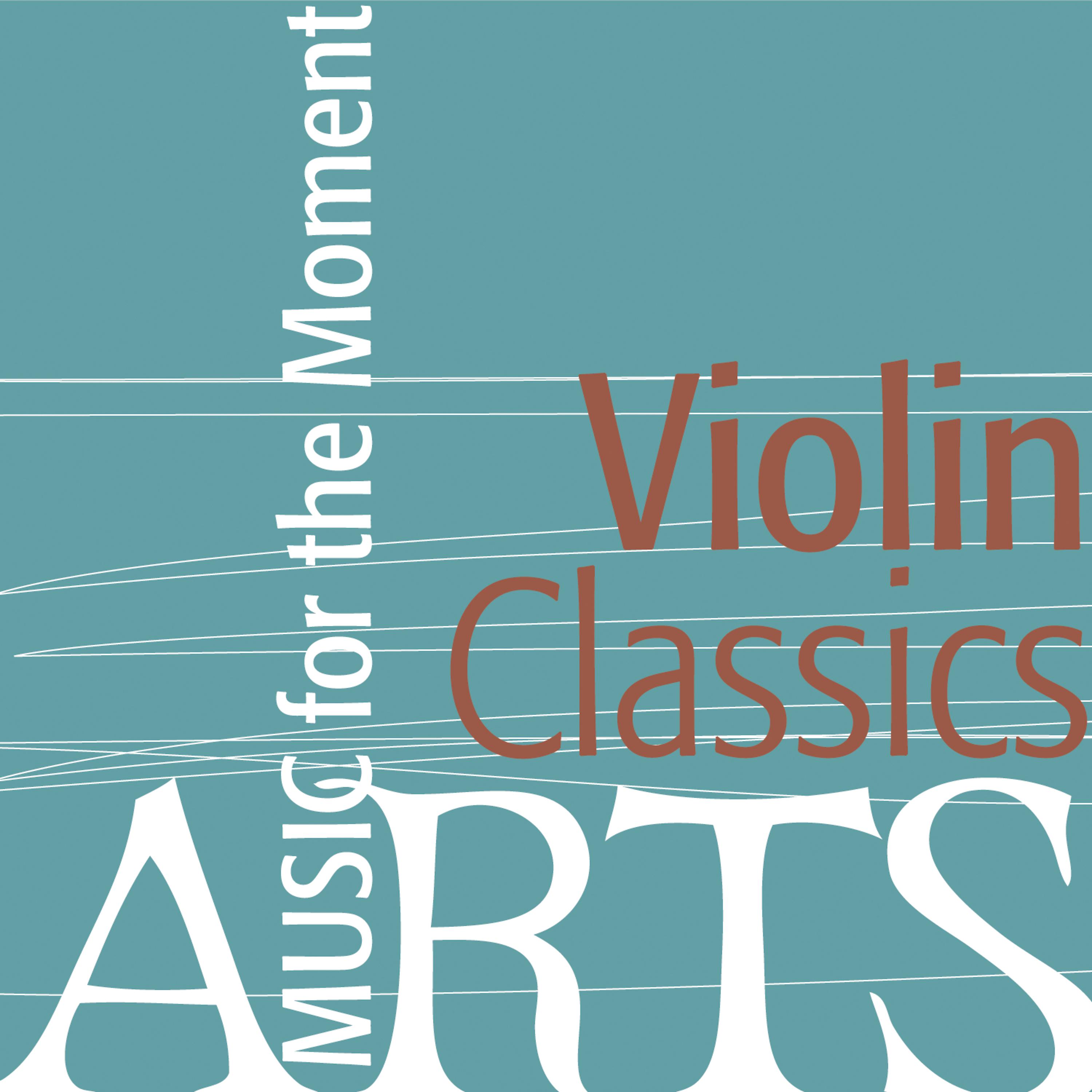 Постер альбома Music for the Moment: Violin Classics