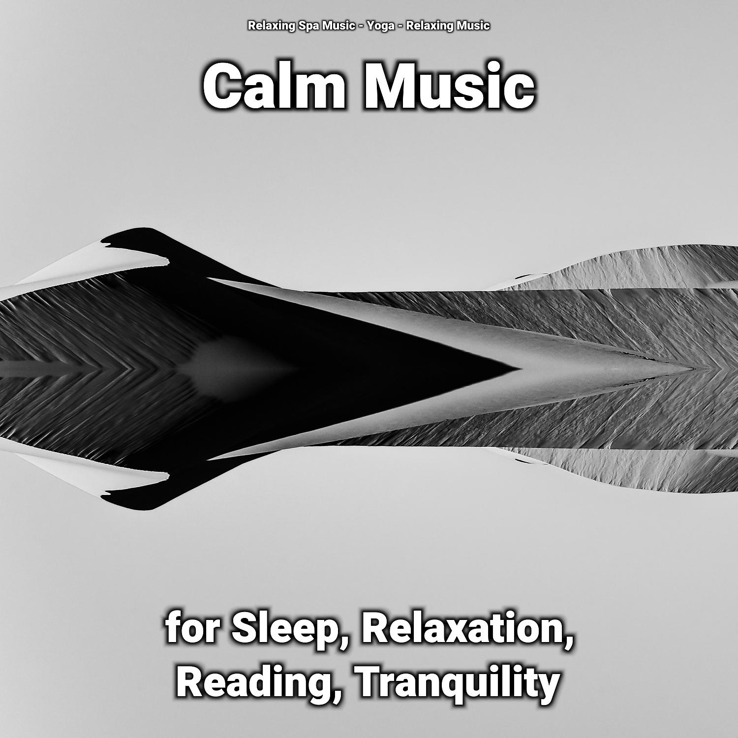 Постер альбома Calm Music for Sleep, Relaxation, Reading, Tranquility