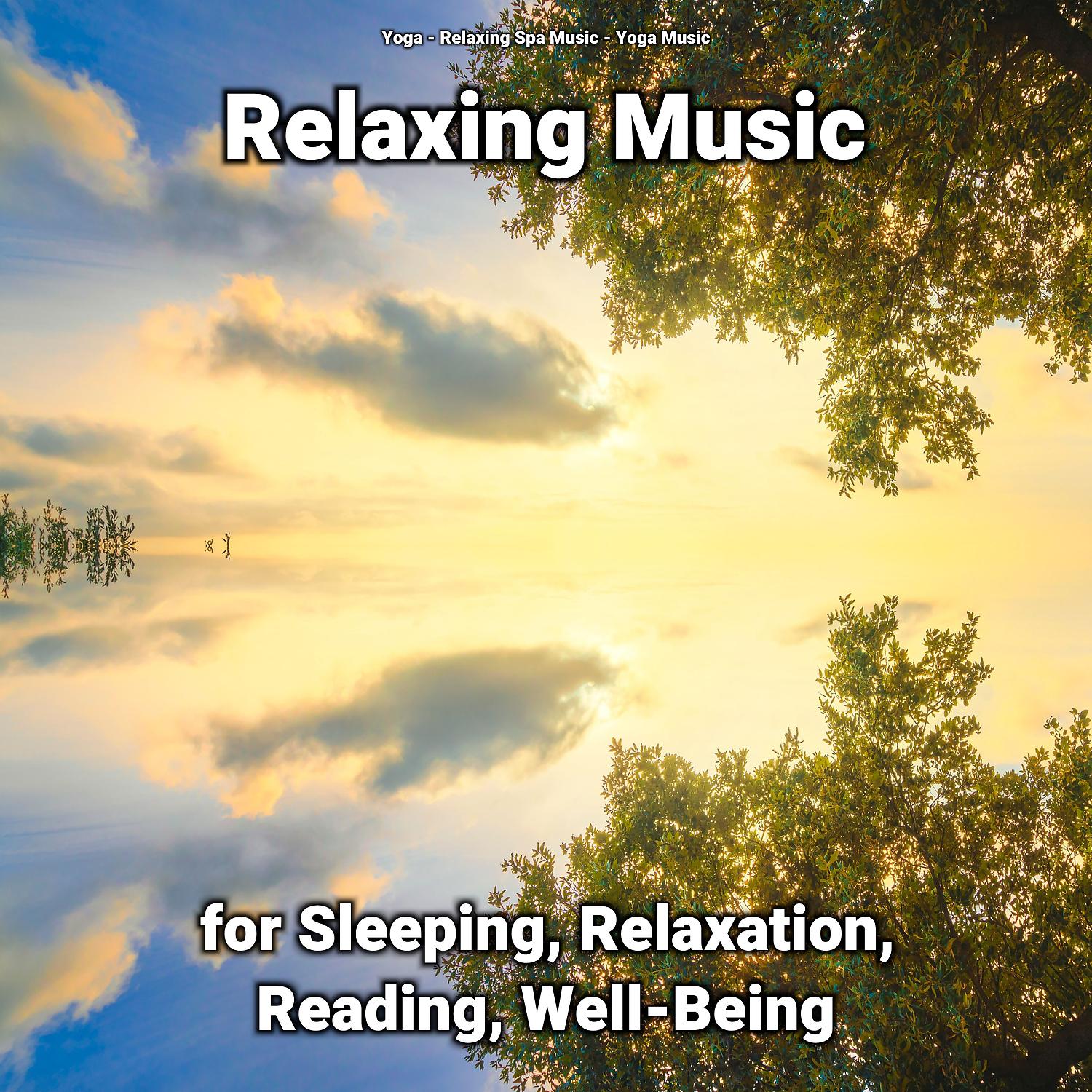 Постер альбома Relaxing Music for Sleeping, Relaxation, Reading, Well-Being