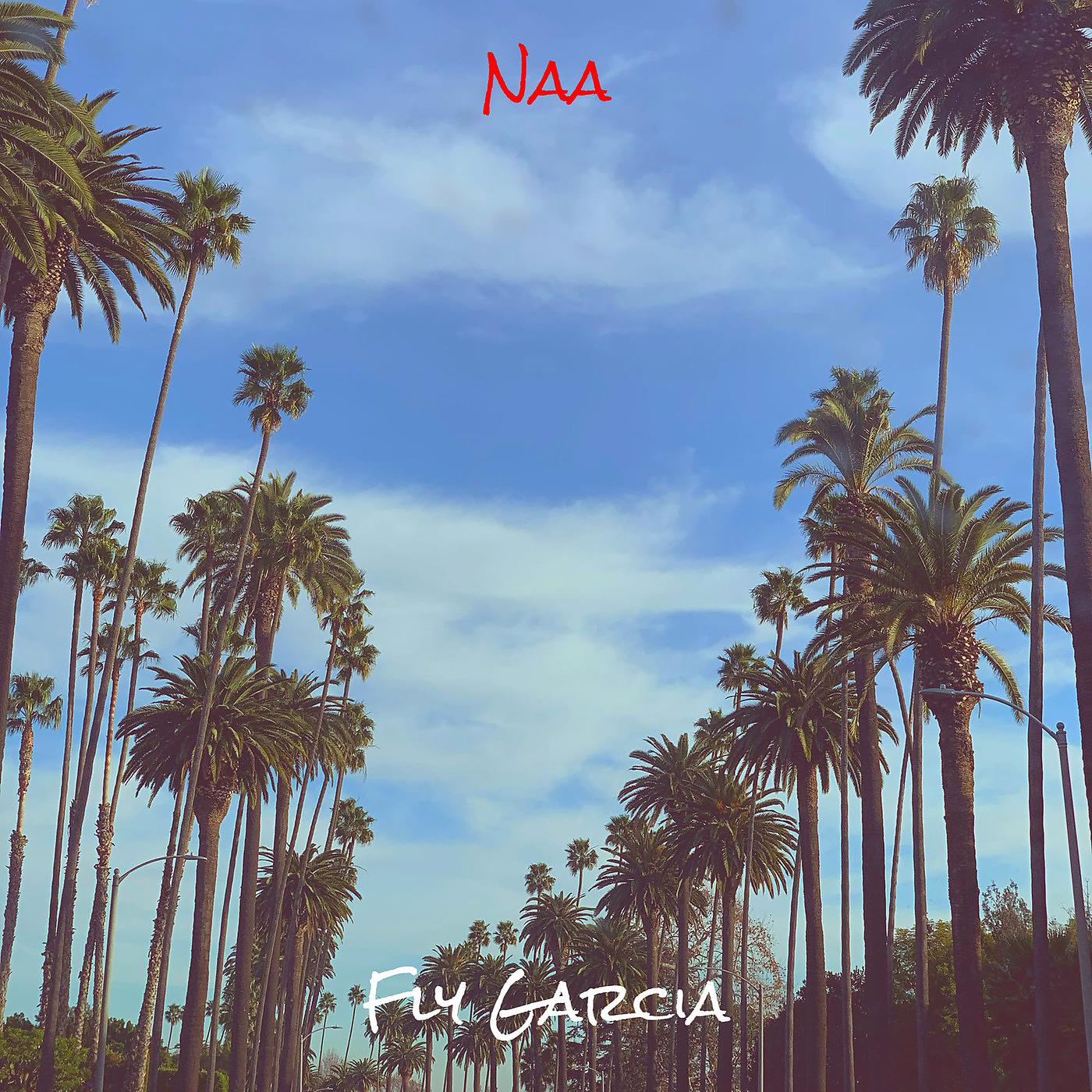 Постер альбома Naa