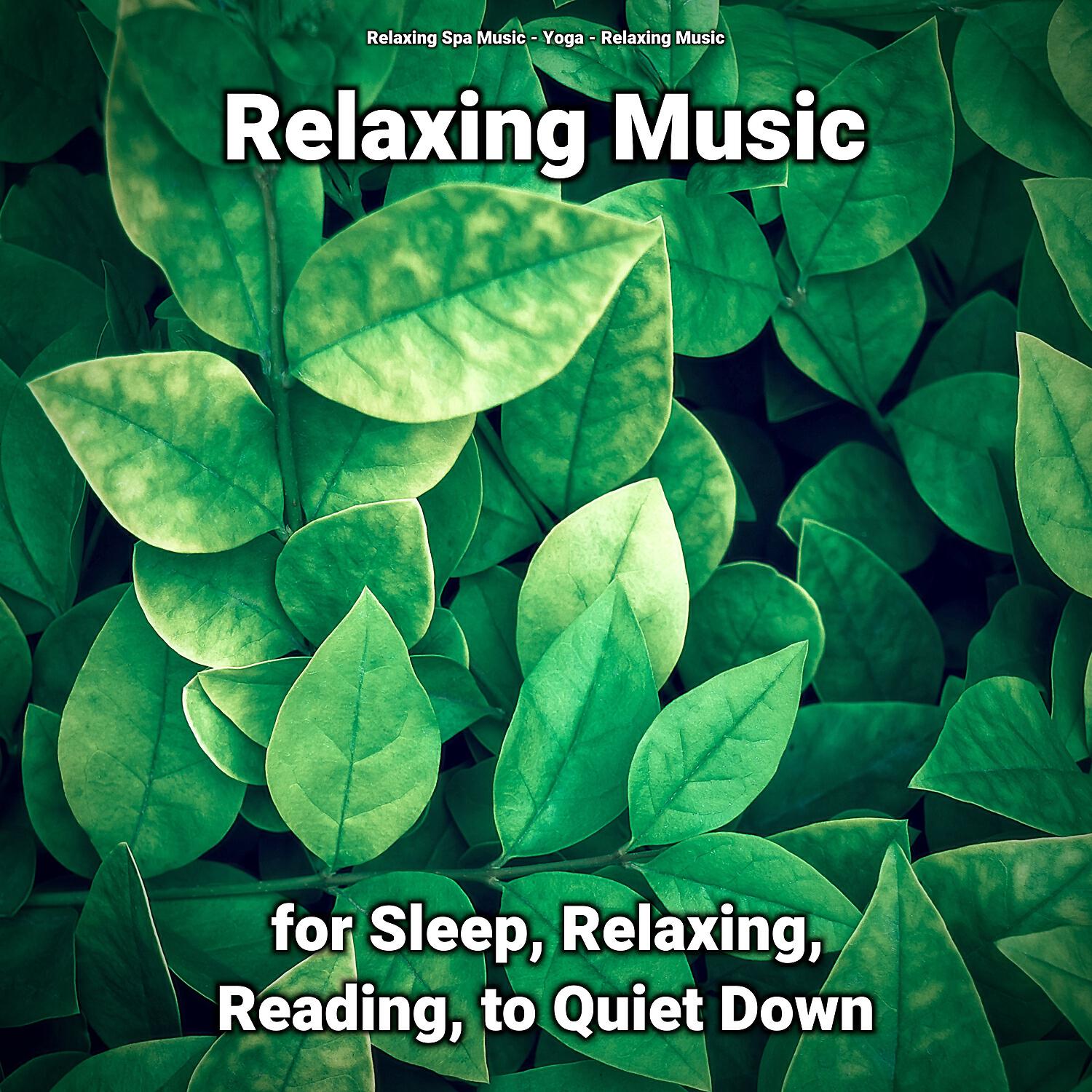 Relaxing Spa Music - Soft Music to Fall Asleep To