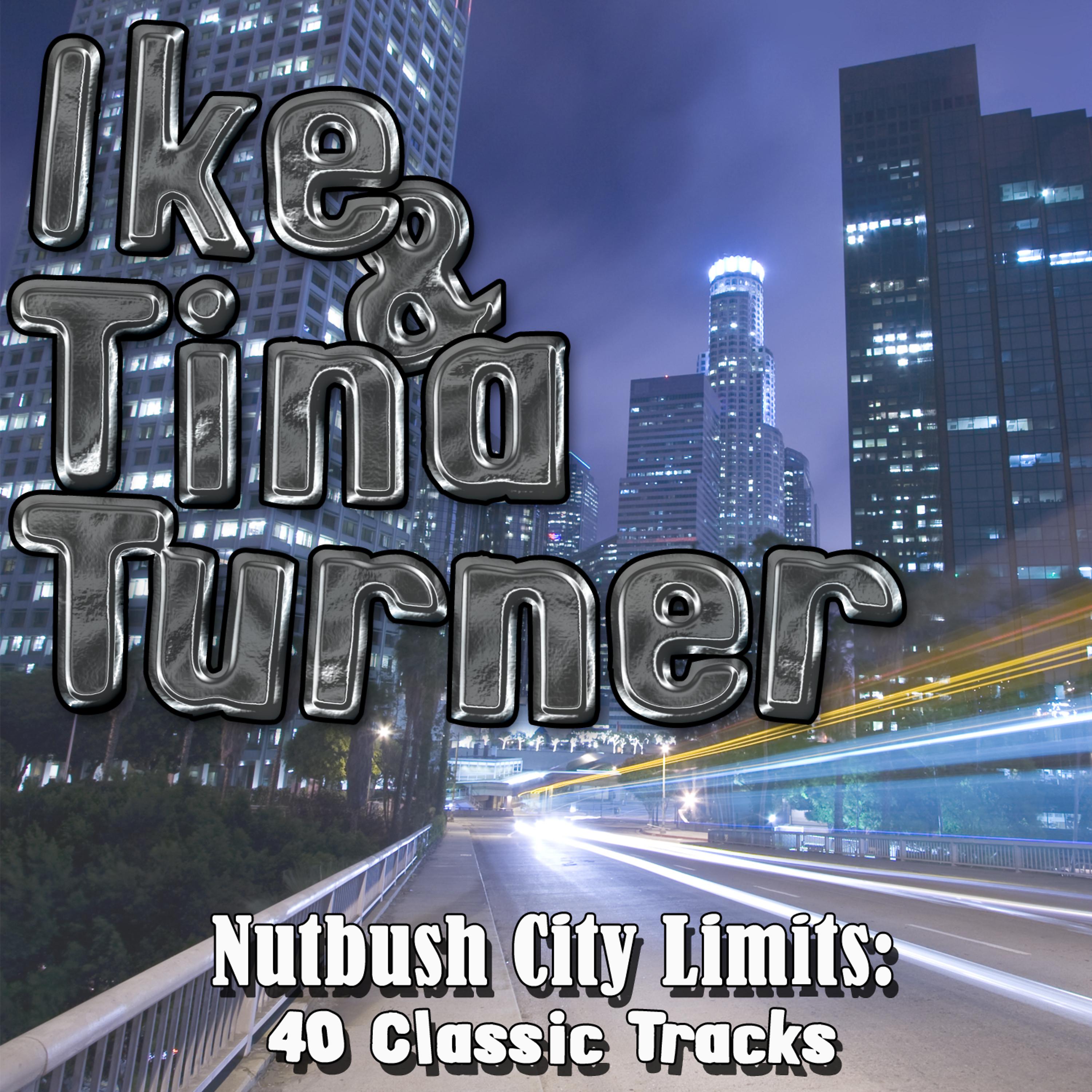 Постер альбома Nutbush City Limits - 40 Classic Tracks