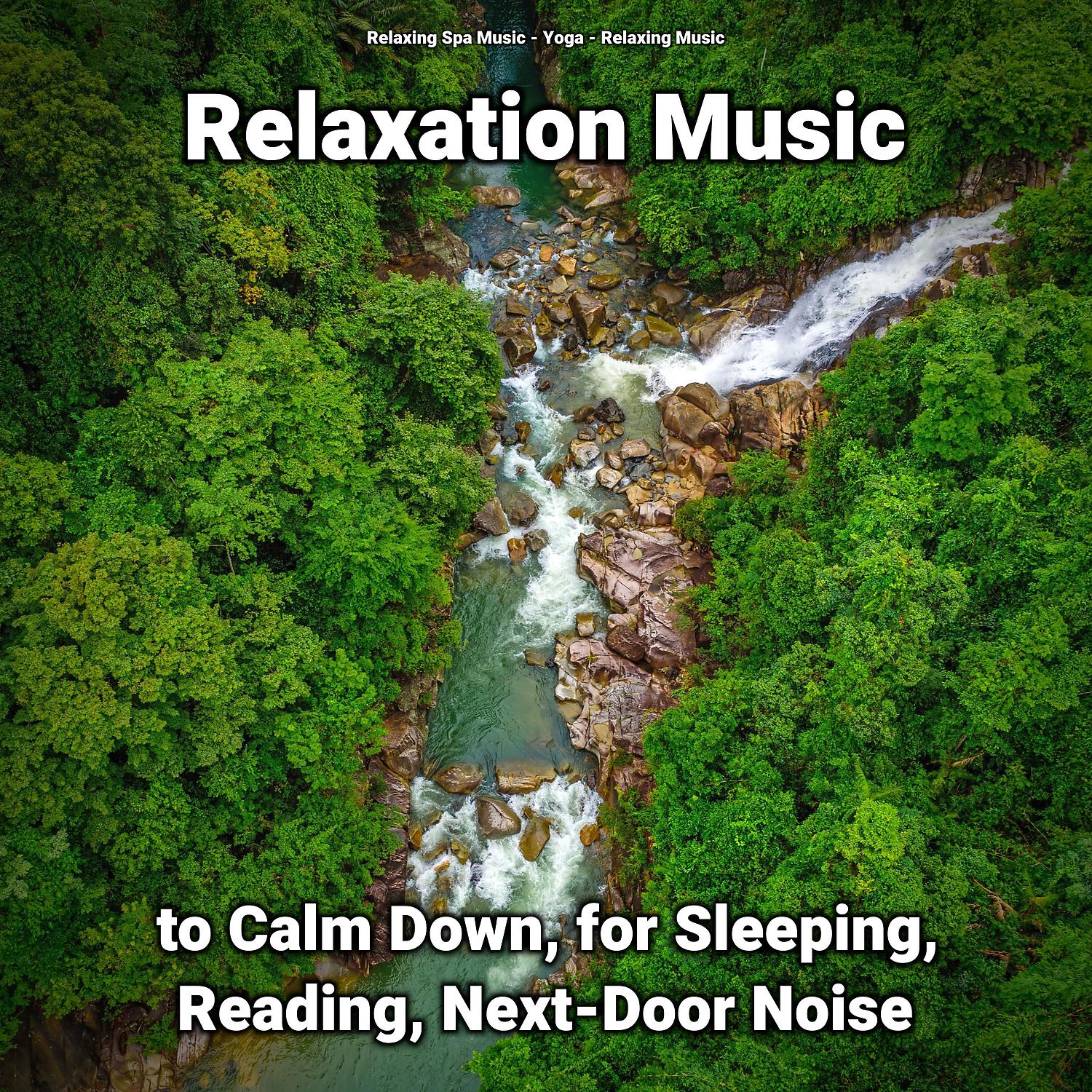 Постер альбома Relaxation Music to Calm Down, for Sleeping, Reading, Next-Door Noise