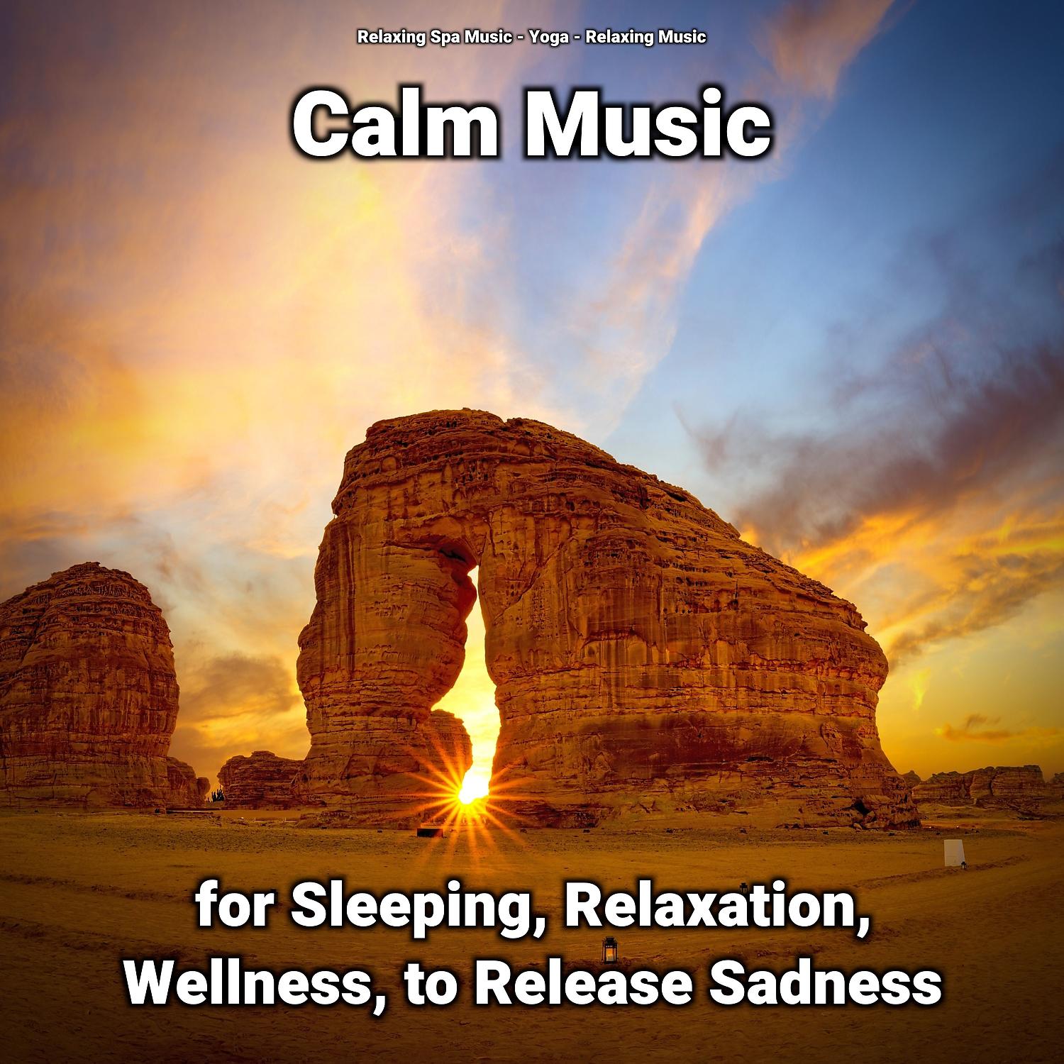 Постер альбома Calm Music for Sleeping, Relaxation, Wellness, to Release Sadness