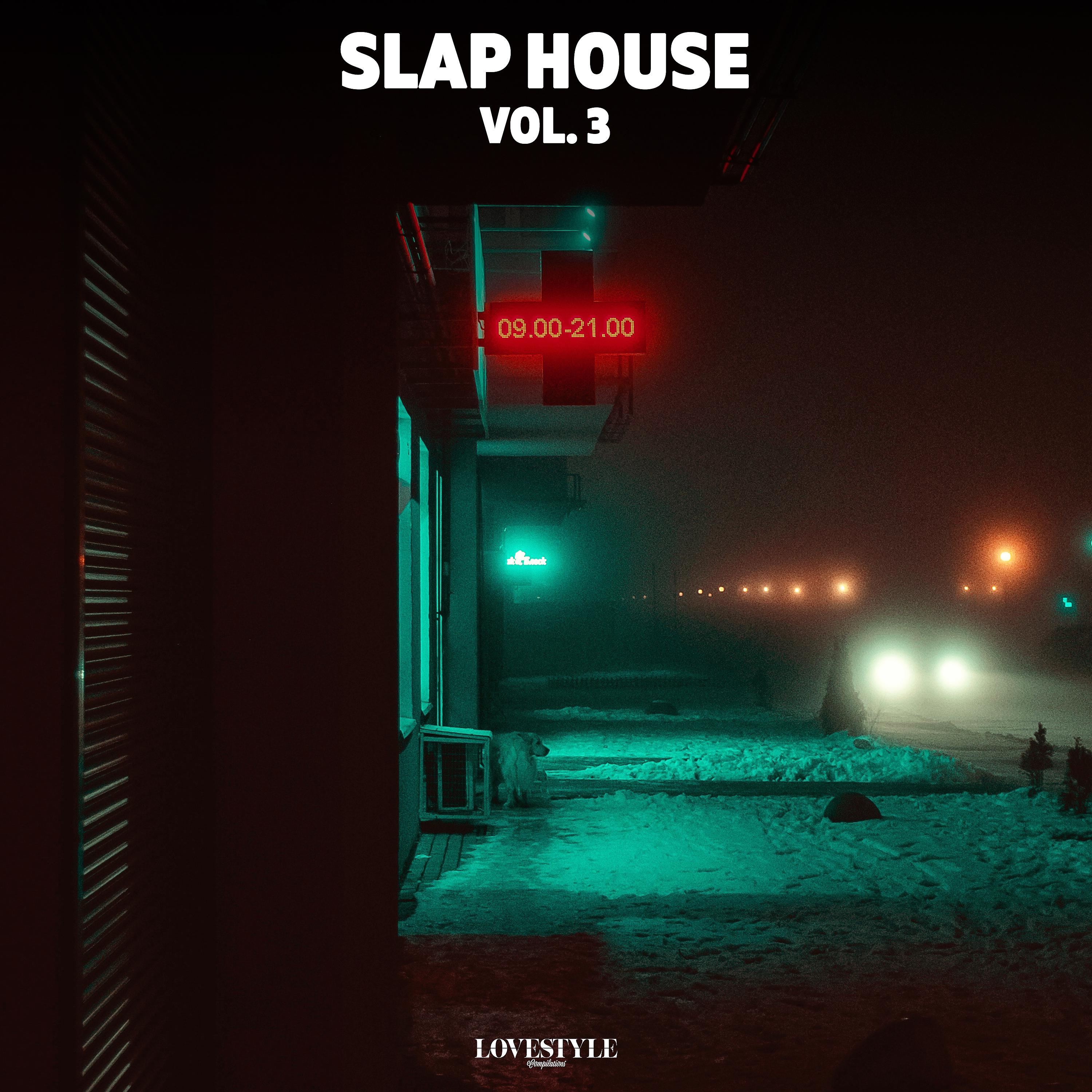 Постер альбома Slap House Vol. 3