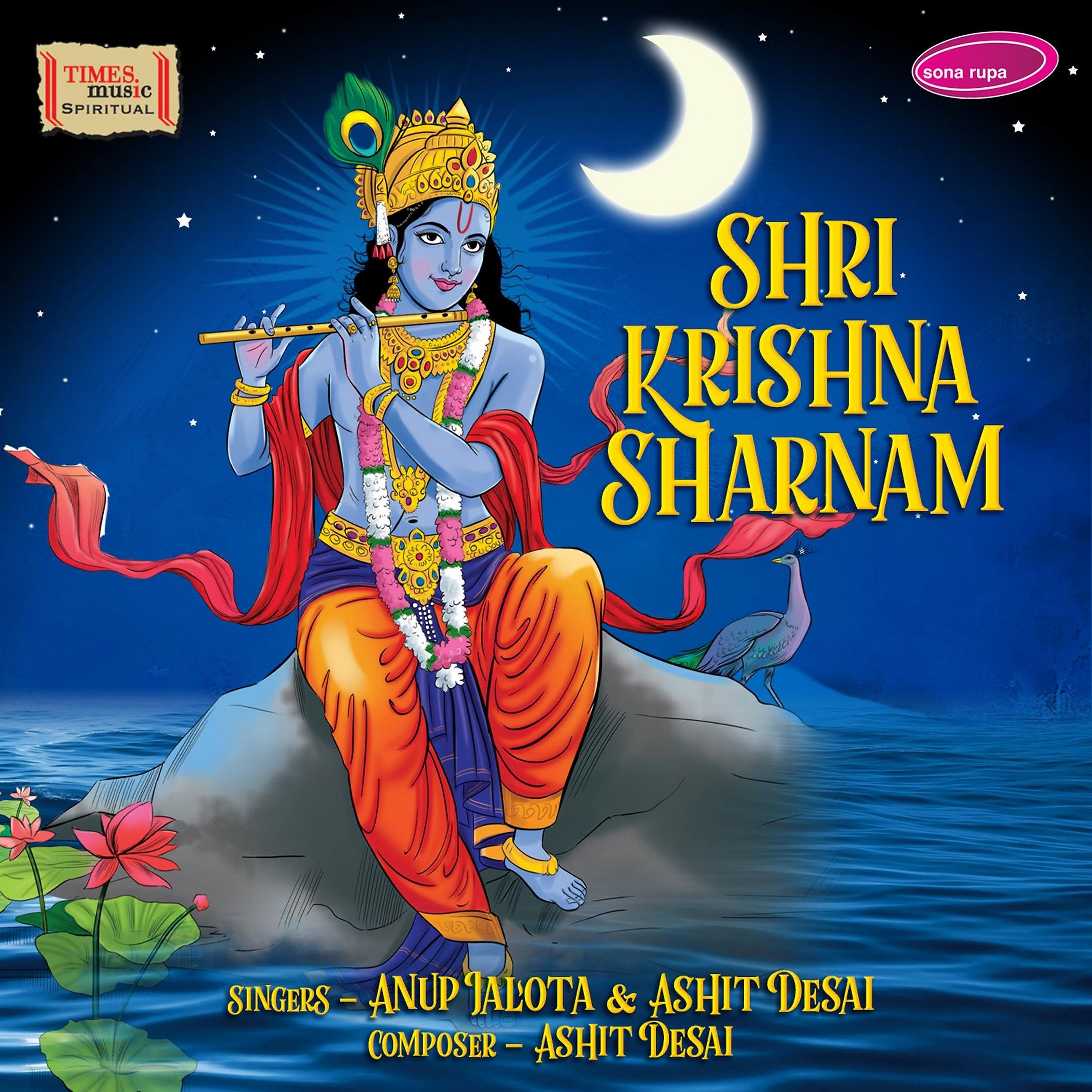 Постер альбома Shri Krishna Sharnam